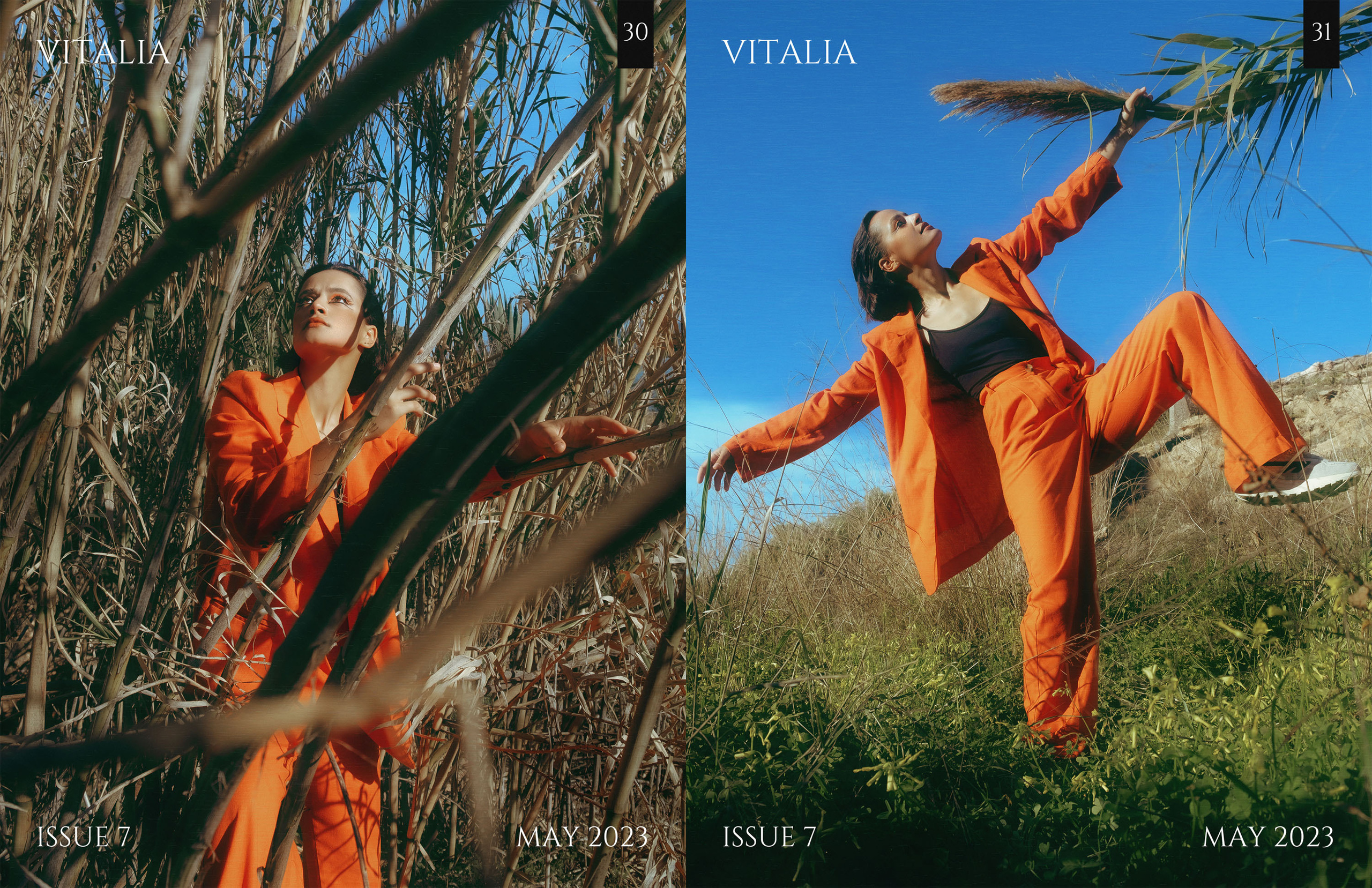 The best publications of the project Orange Orange