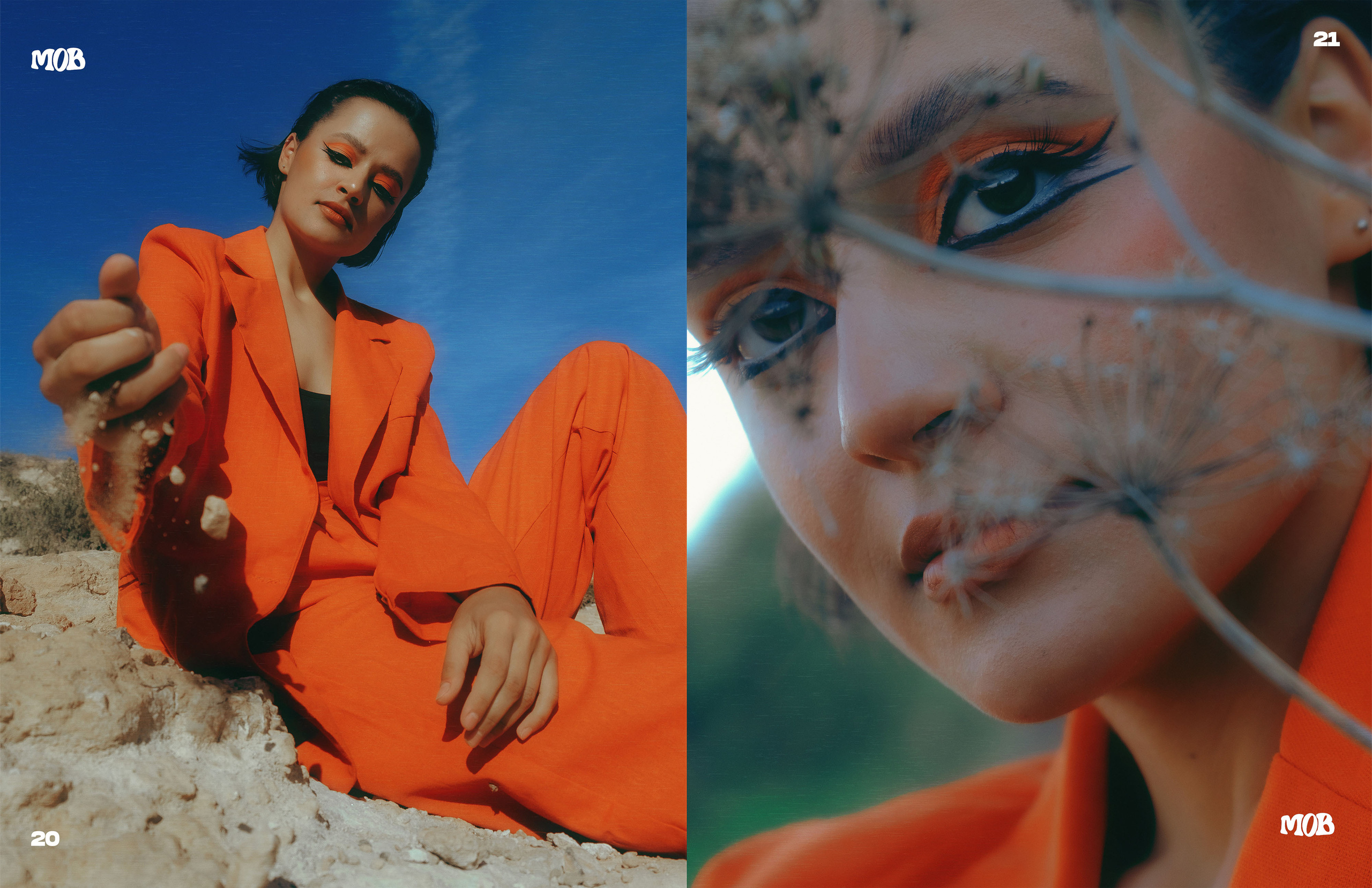 The best publications of the project Orange Orange