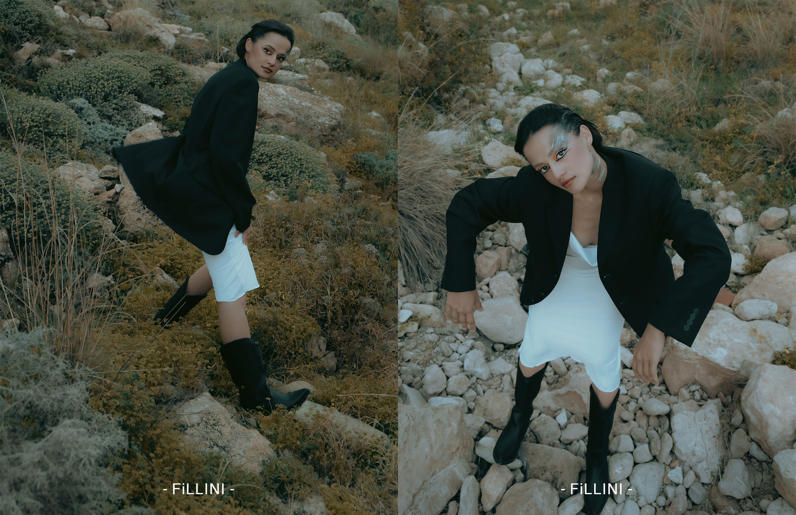 The best publications of the project Dusk in Silence