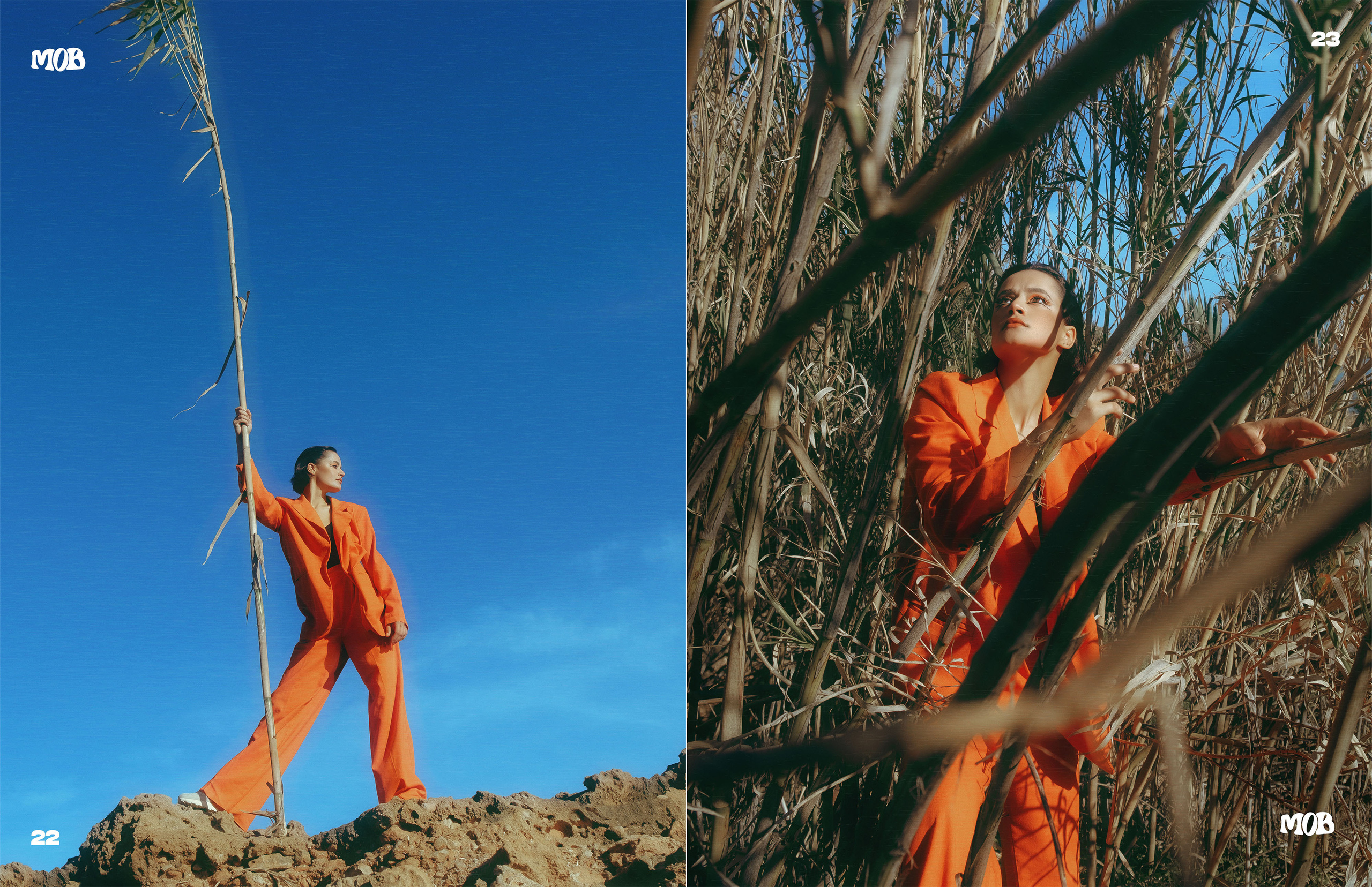 The best publications of the project Orange Orange