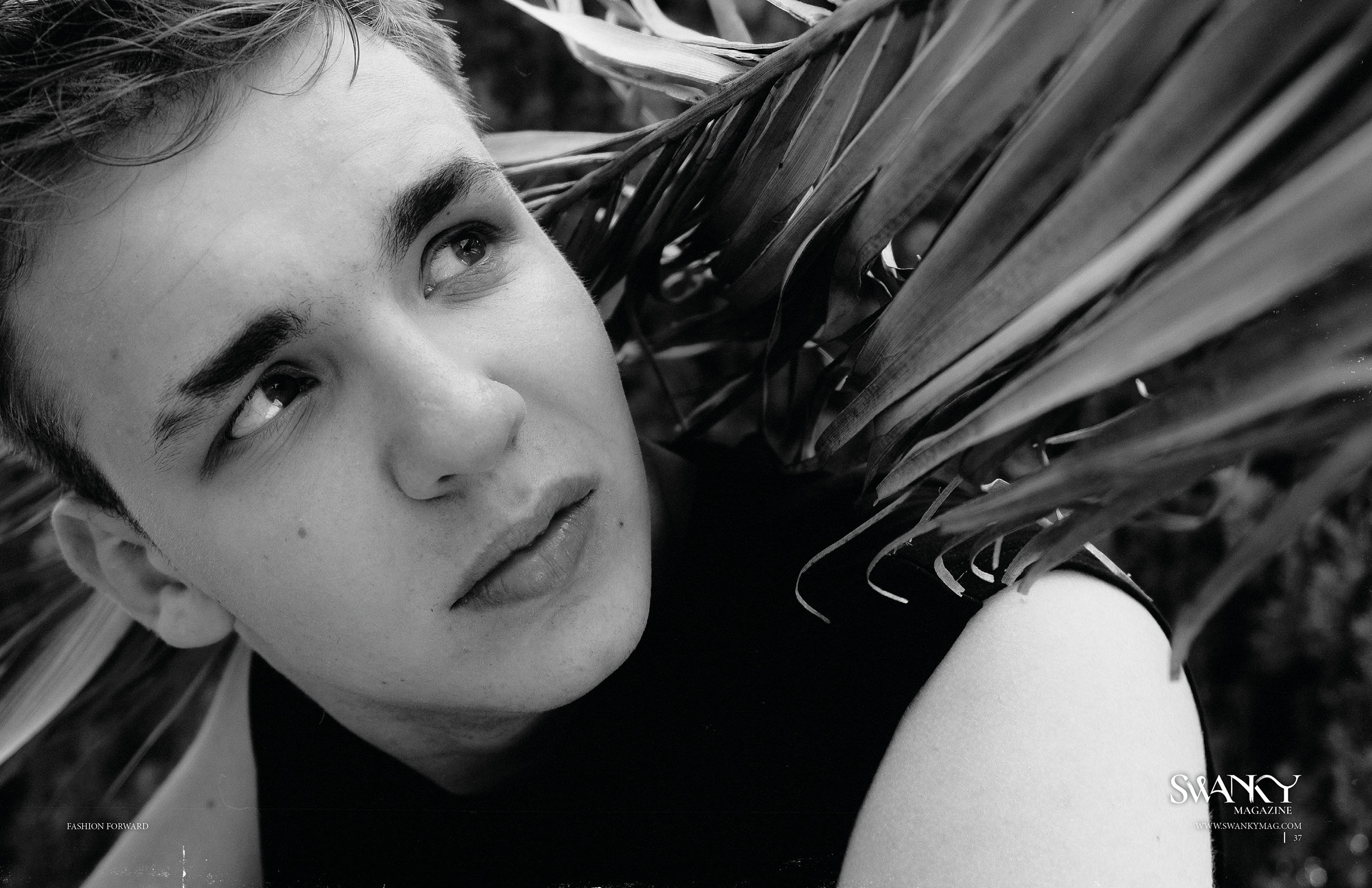 The best publications with Dmitrii Shlein