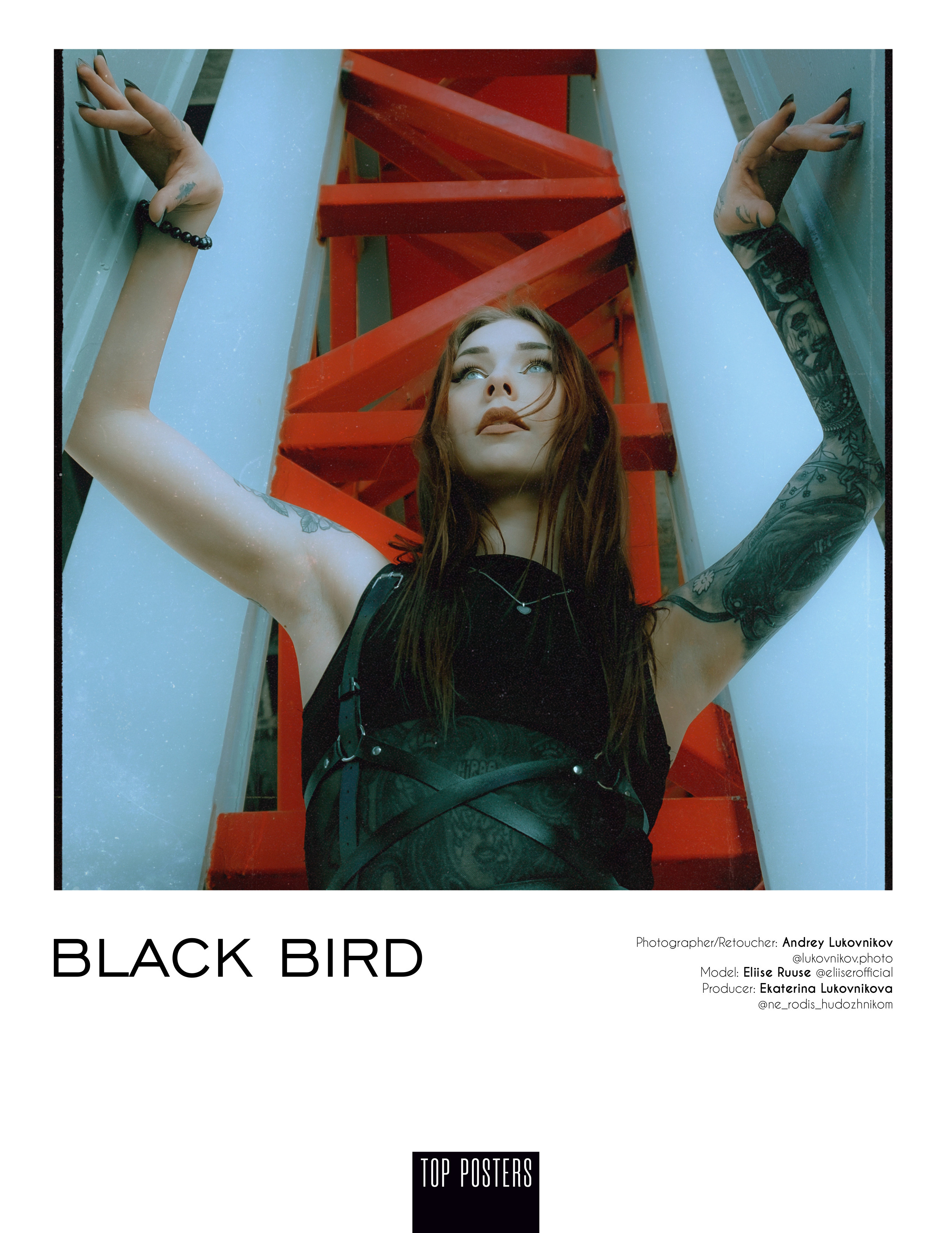 Black Bird
