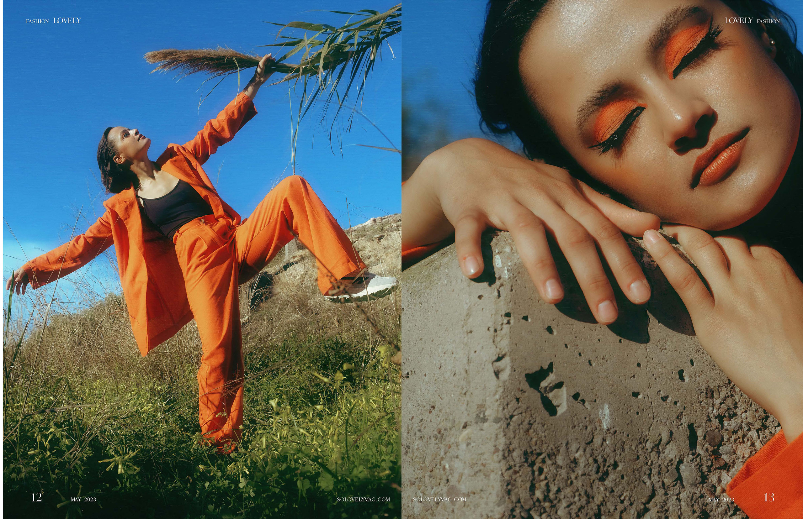 The best publications of the project Orange Orange