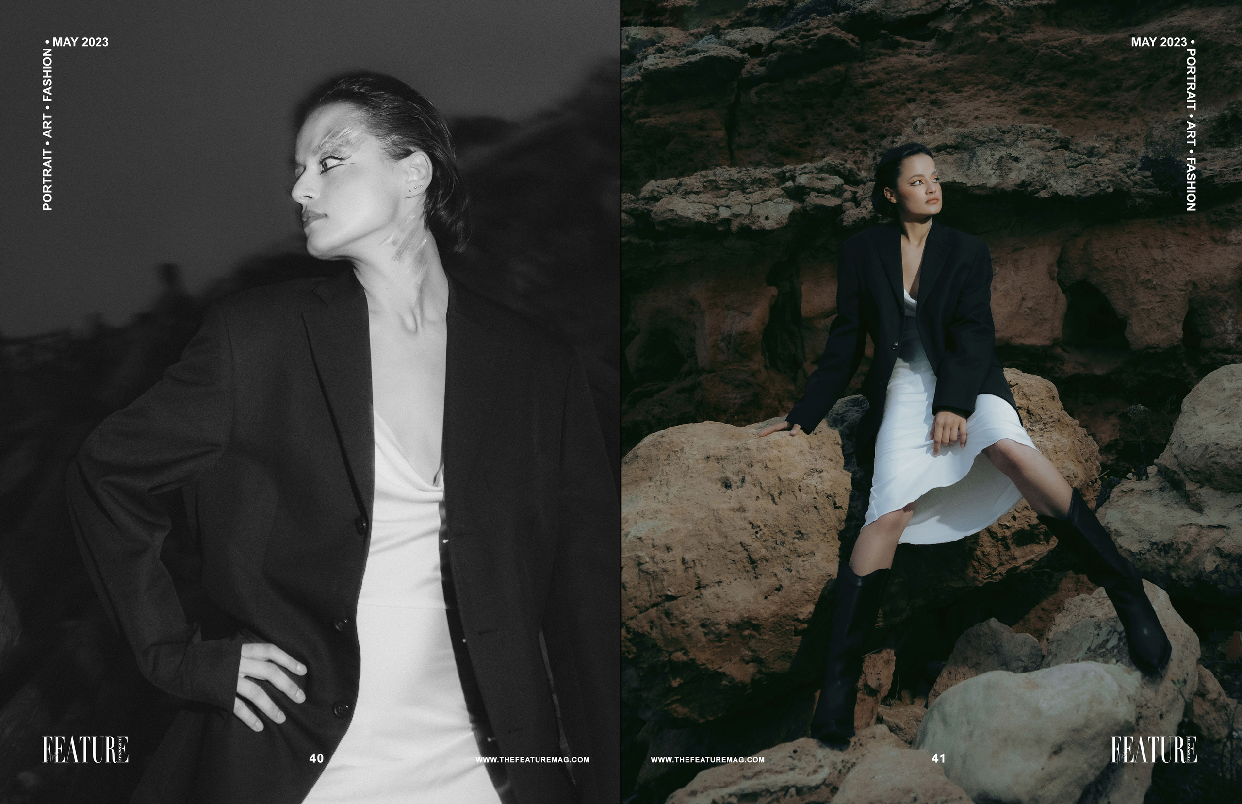 The best publications of the project Dusk in Silence