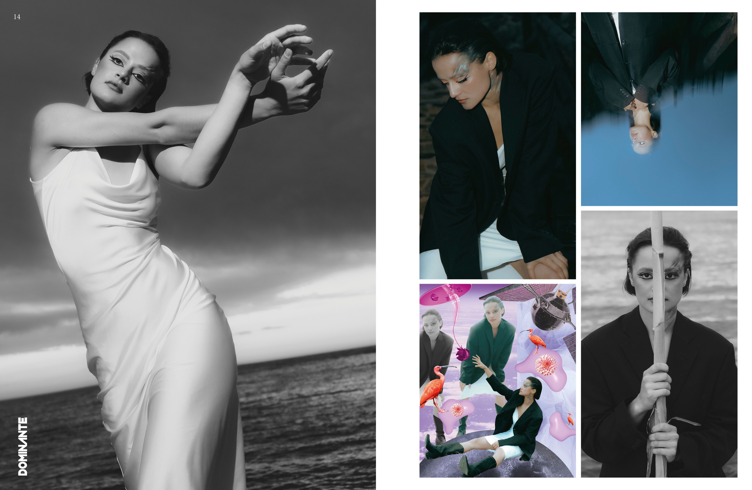 The best publications of the project Dusk in Silence