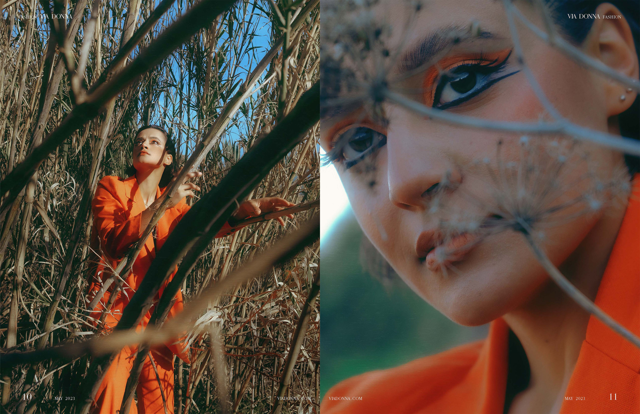 The best publications of the project Orange Orange