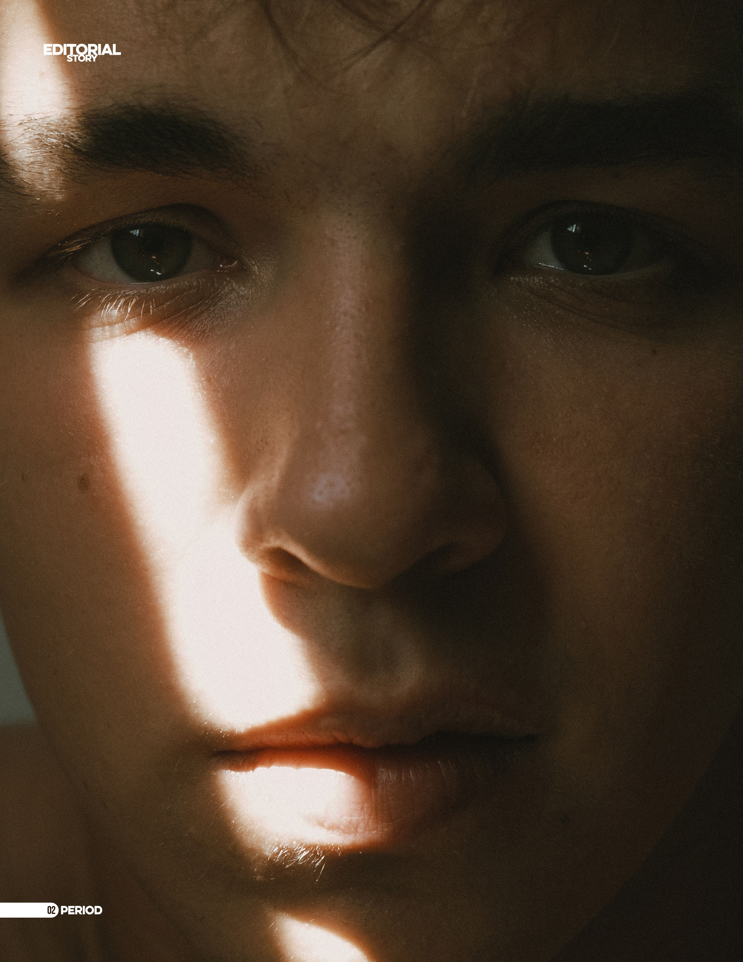 The best publications with Dmitrii Shlein