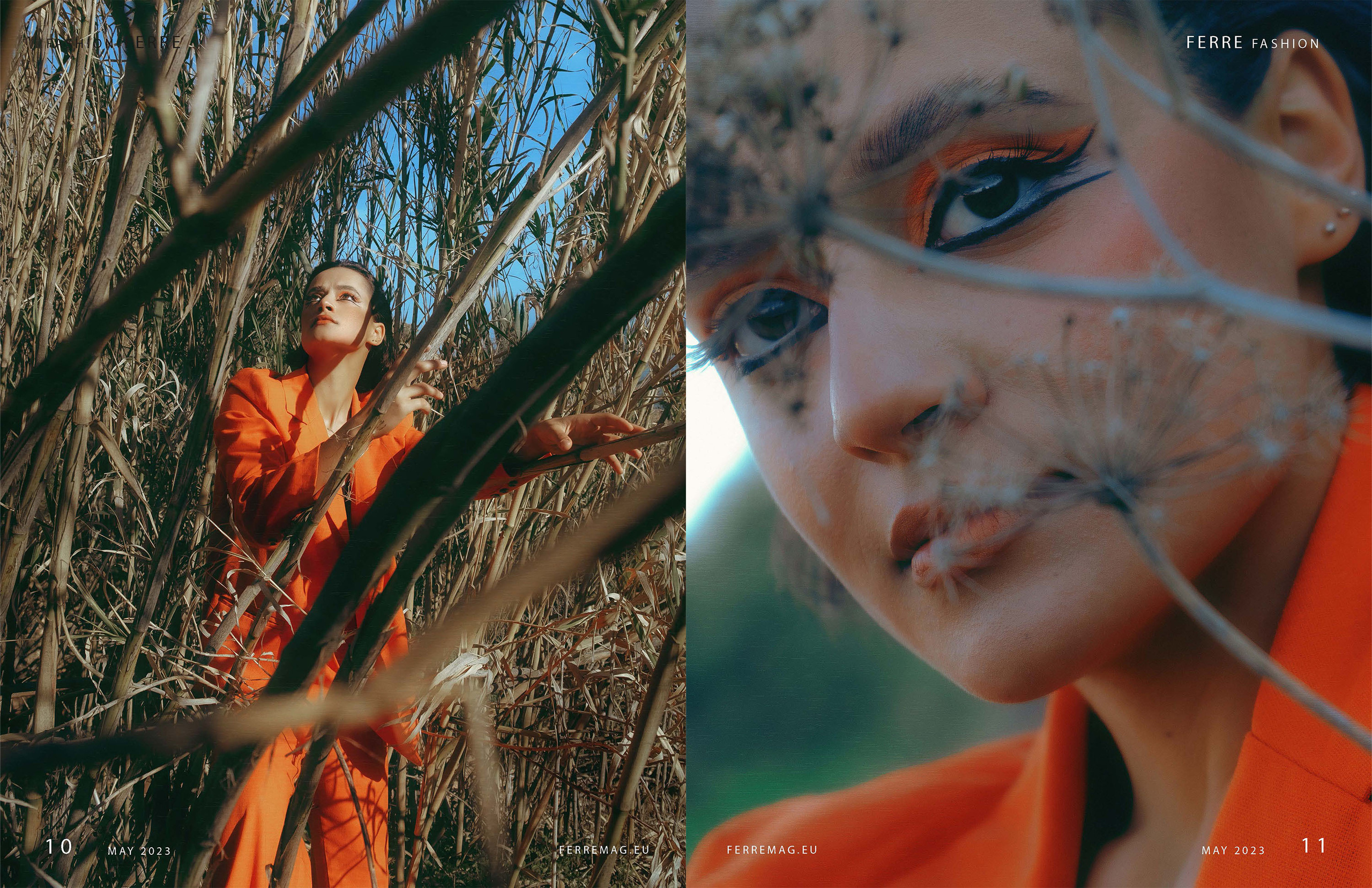 The best publications of the project Orange Orange