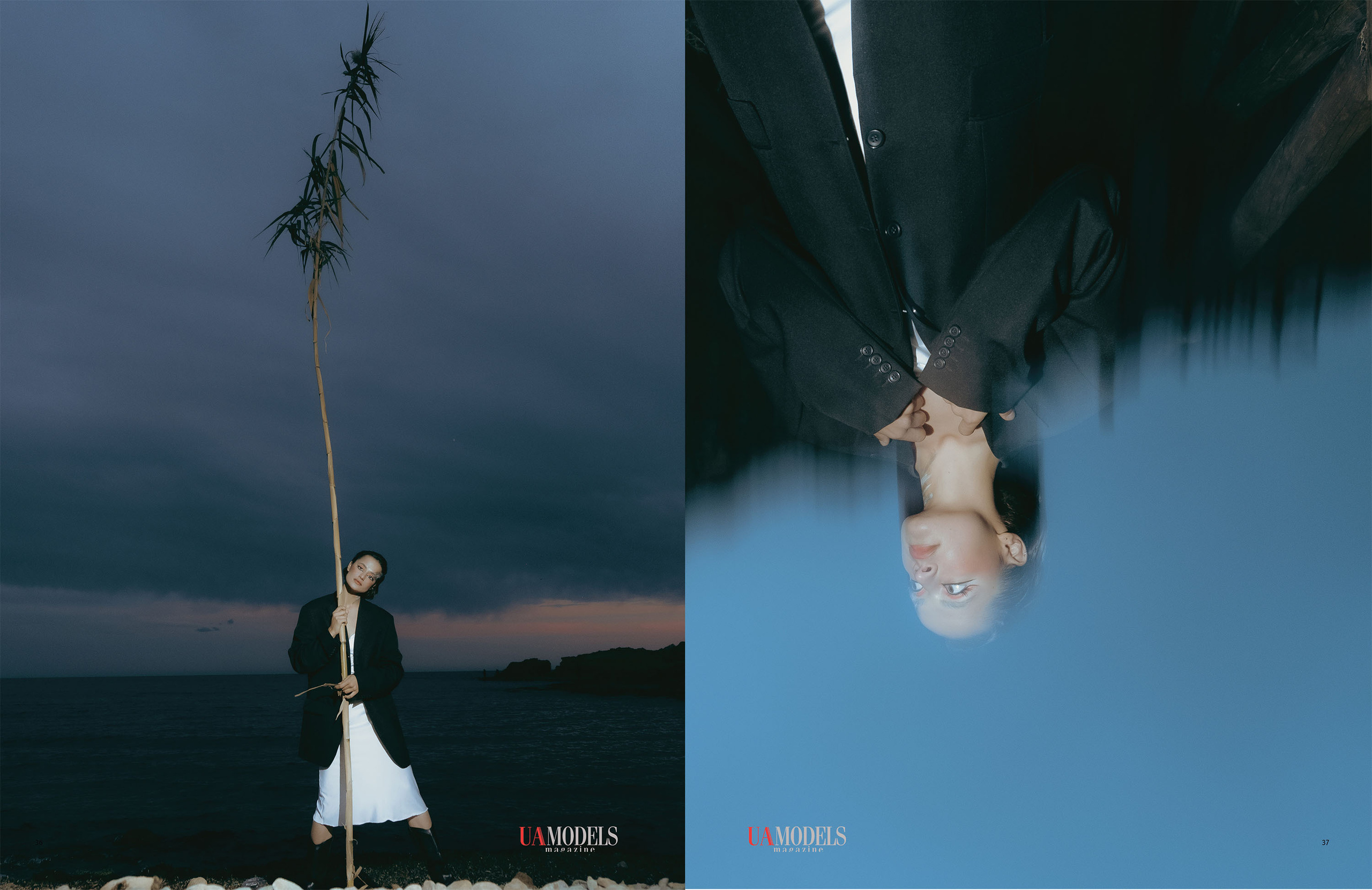 The best publications of the project Dusk in Silence