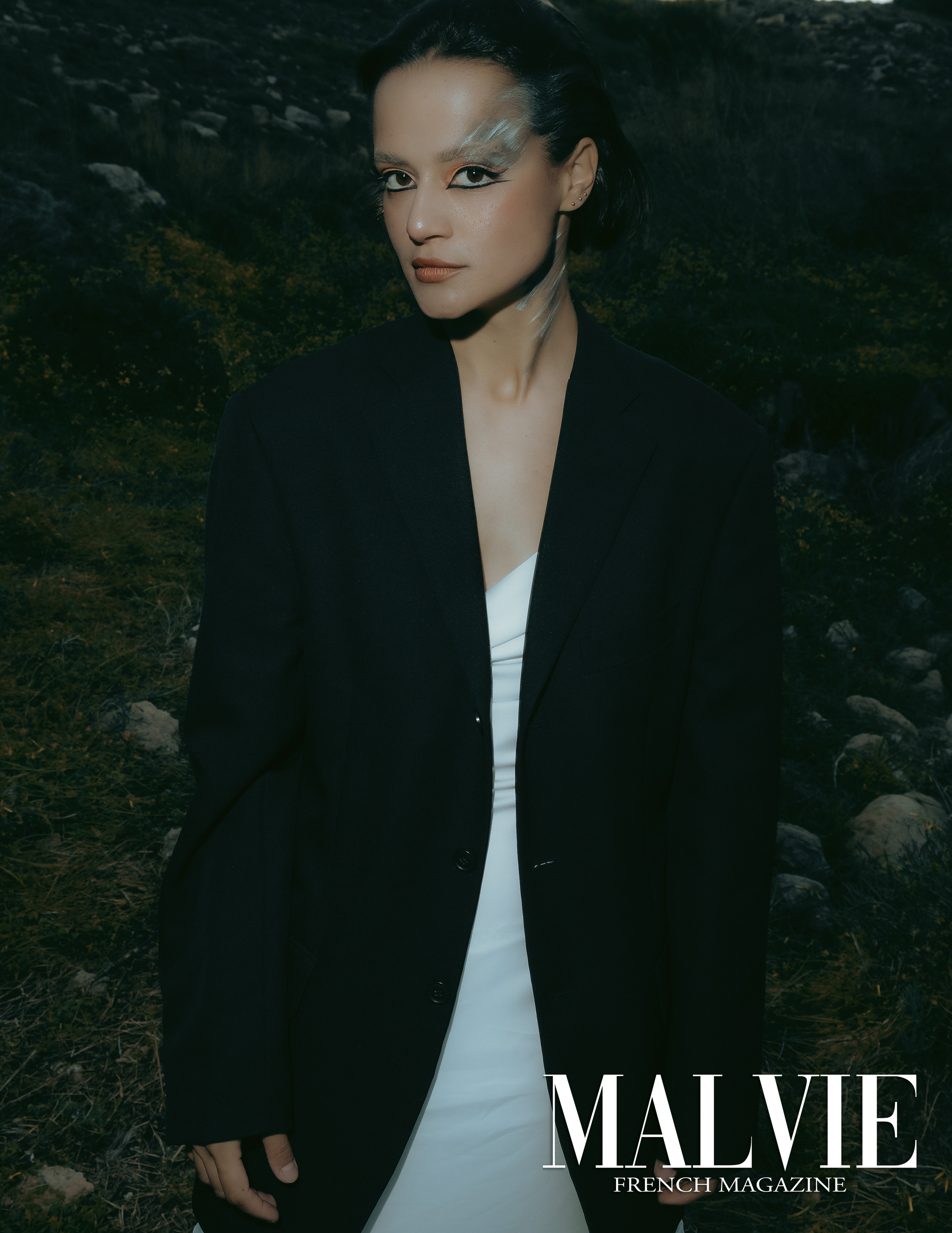 The best publications of the project Dusk in Silence