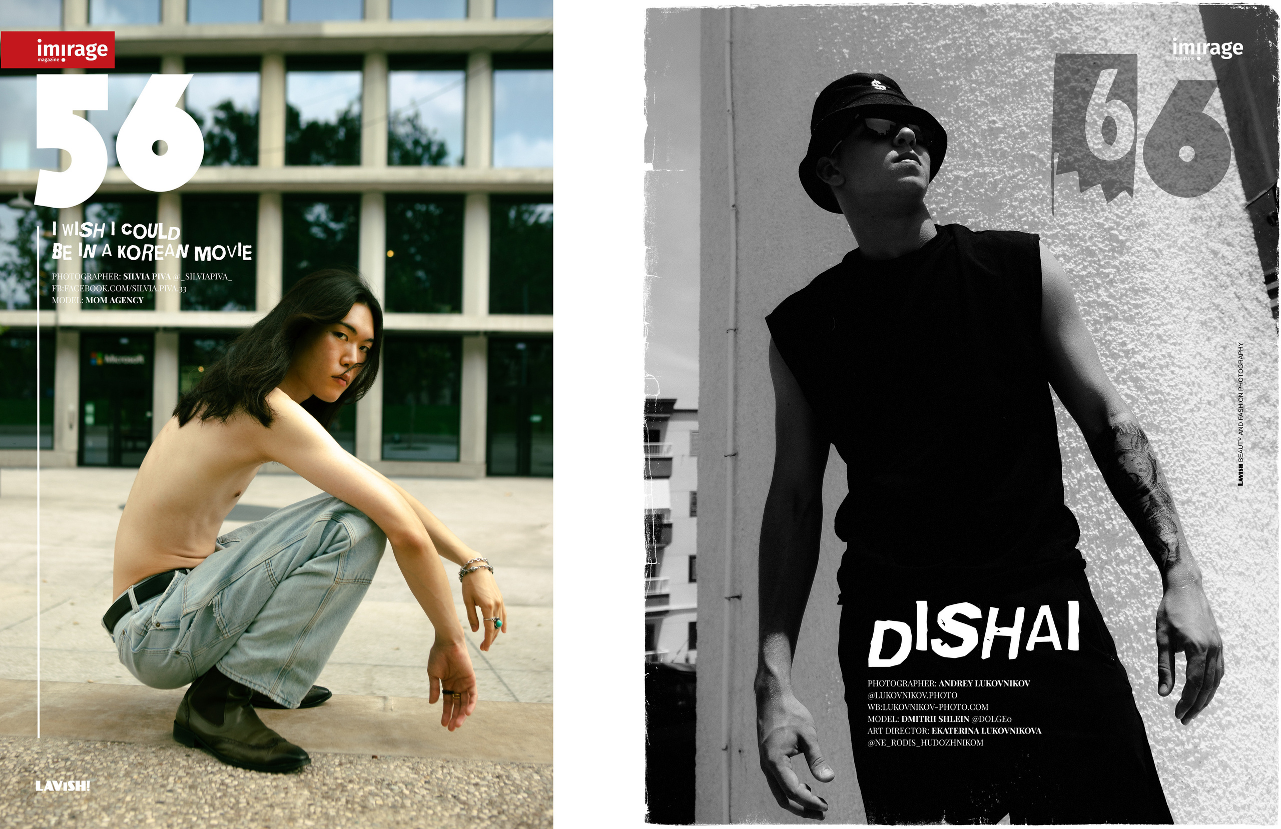 The best publications with Dmitrii Shlein