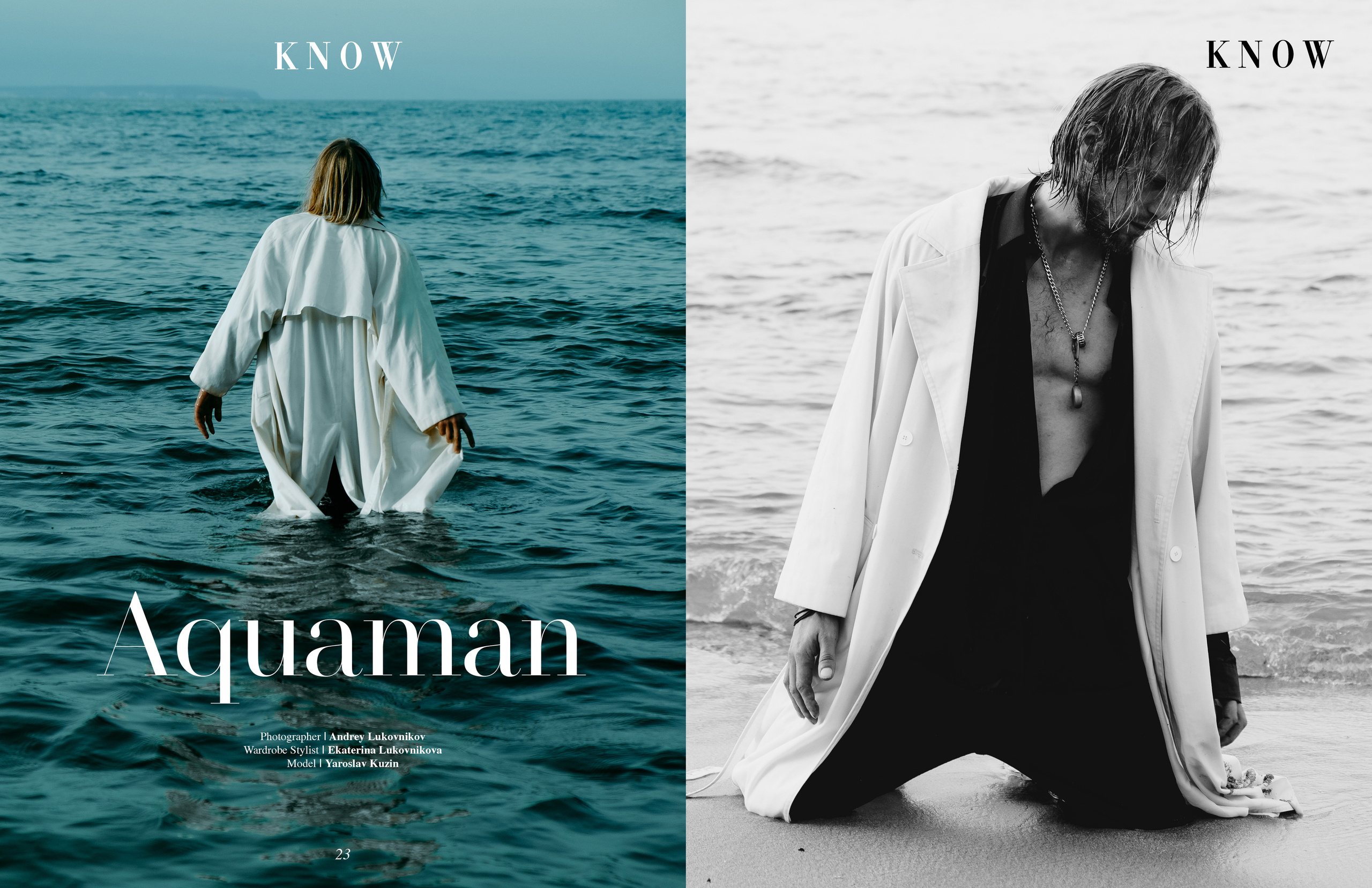 The best publications of the project Aquaman