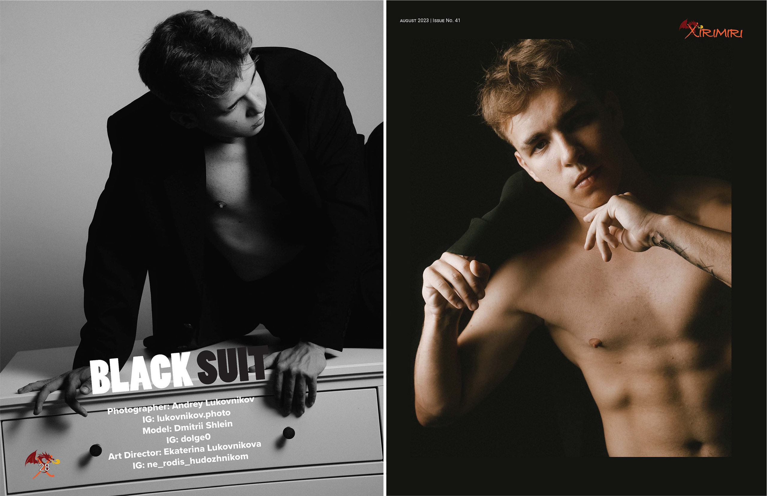 The best publications with Dmitrii Shlein