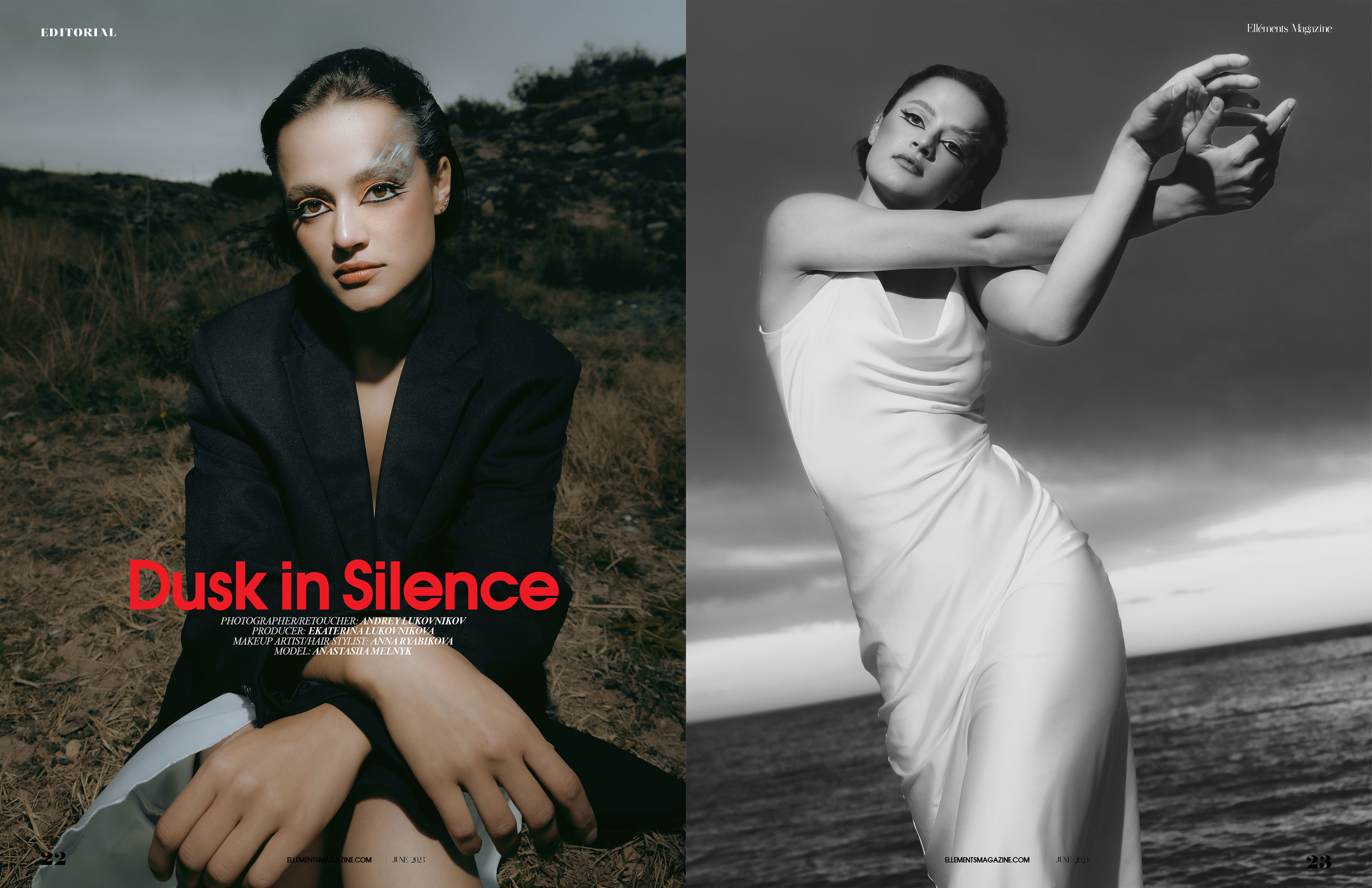 The best publications of the project Dusk in Silence