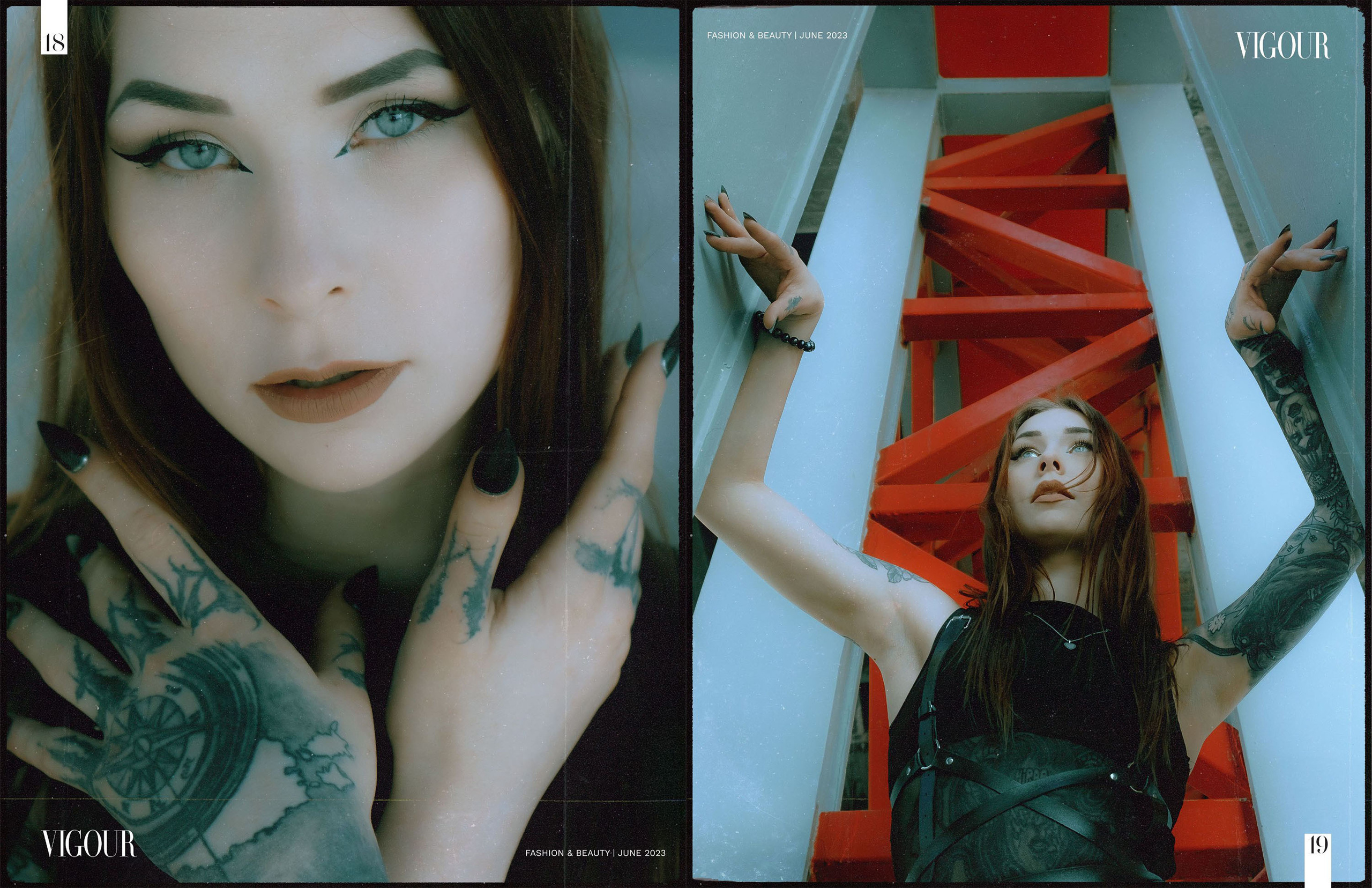 Black Bird