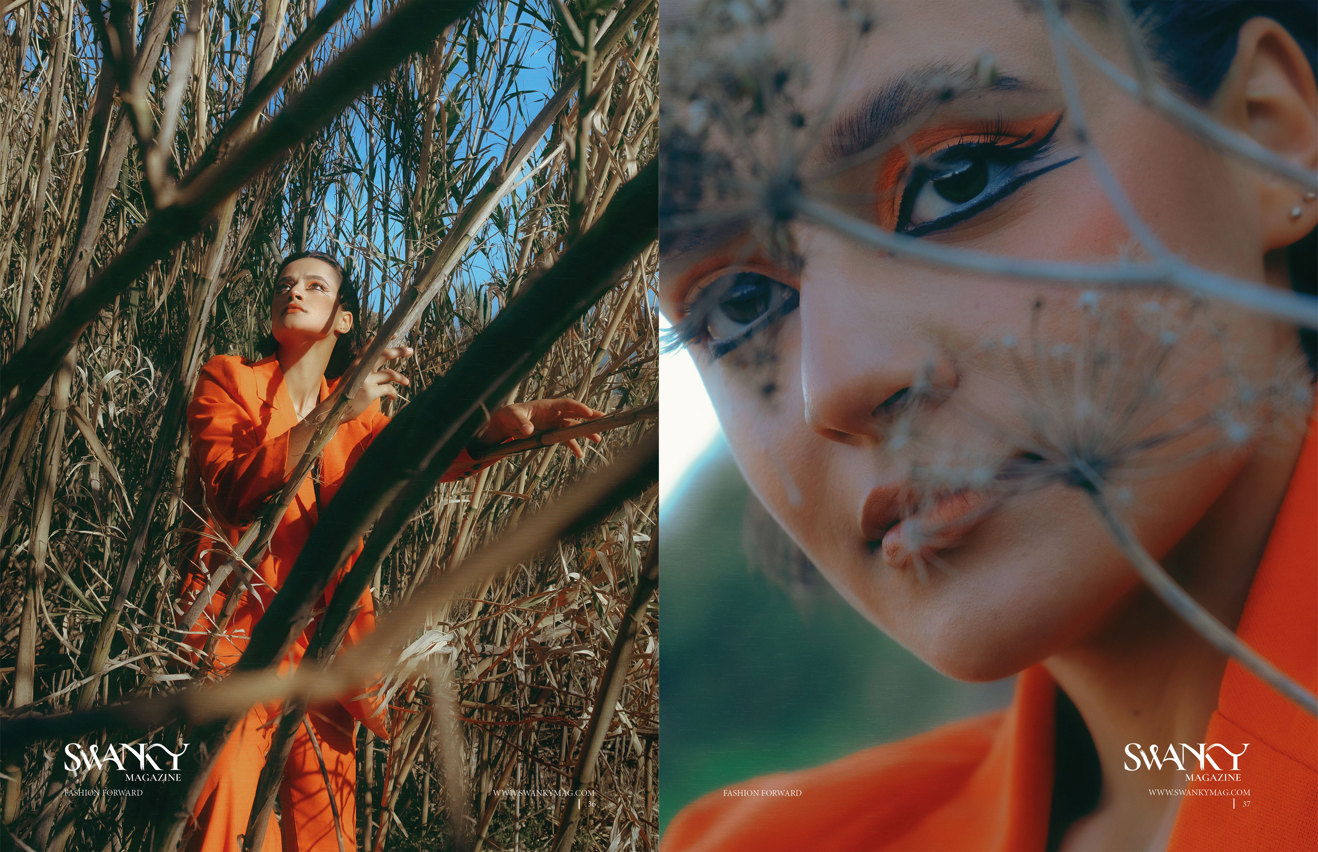 The best publications of the project Orange Orange