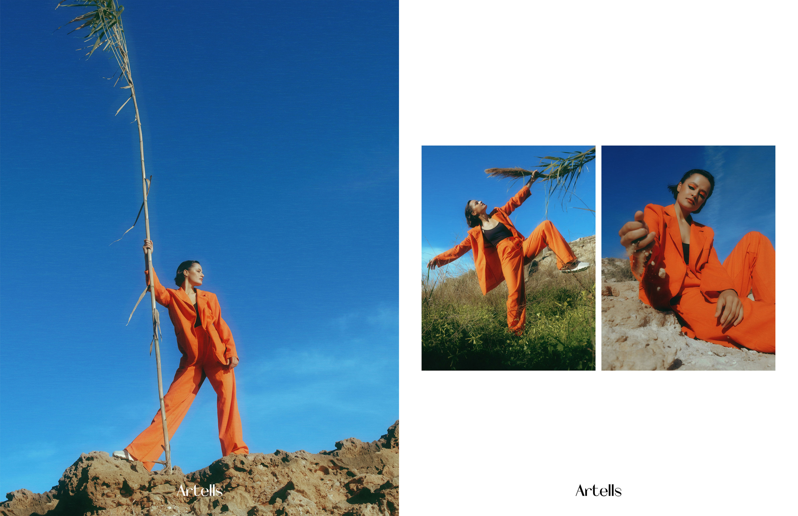 The best publications of the project Orange Orange