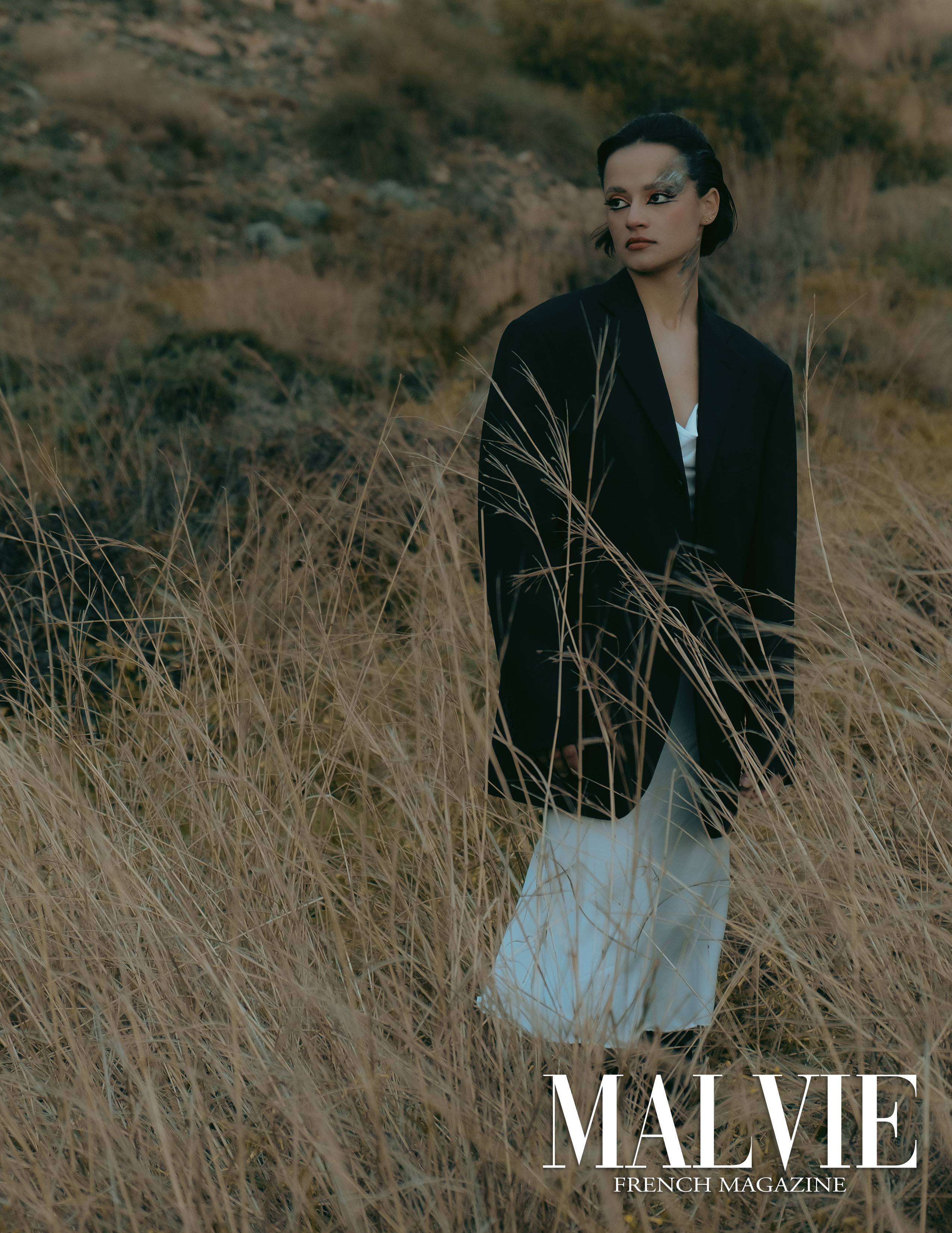 The best publications of the project Dusk in Silence