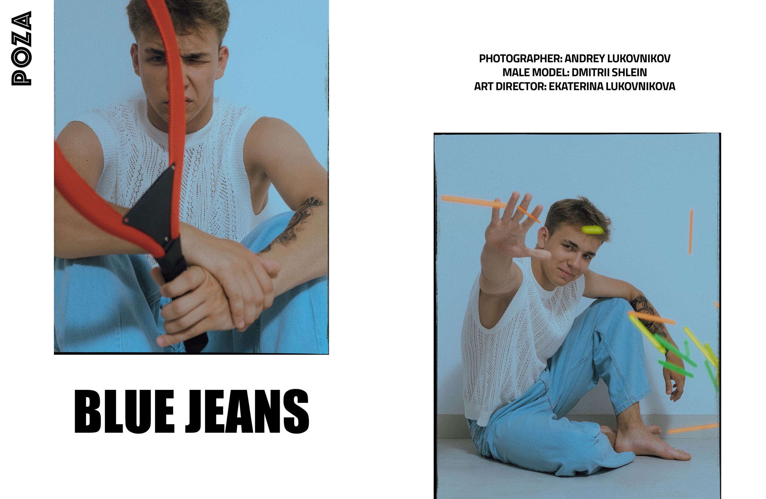 The best publications with Dmitrii Shlein