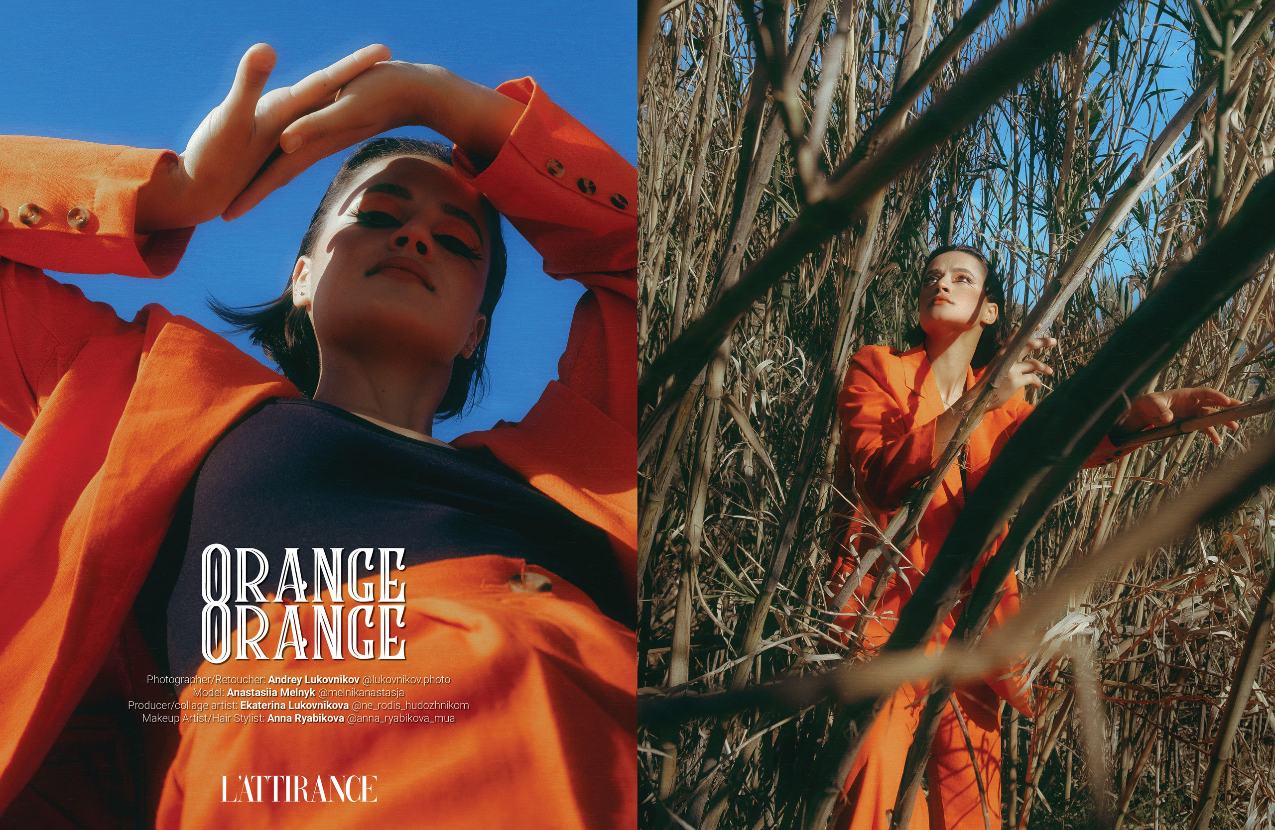 The best publications of the project Orange Orange