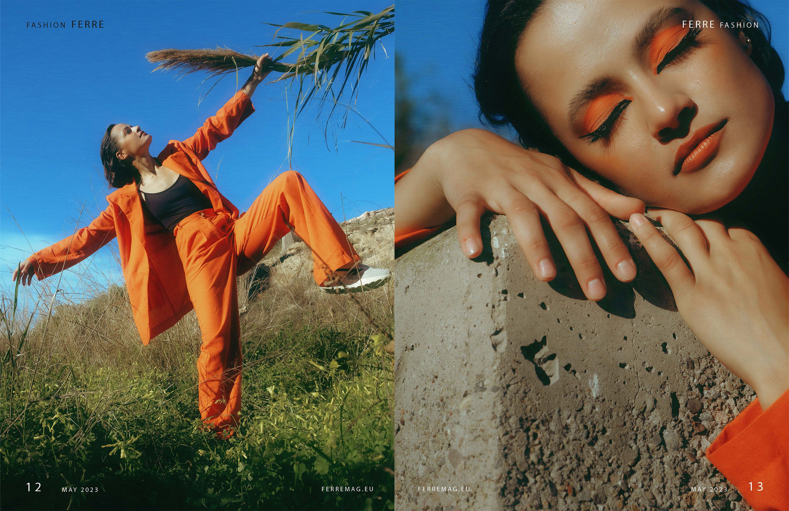 The best publications of the project Orange Orange