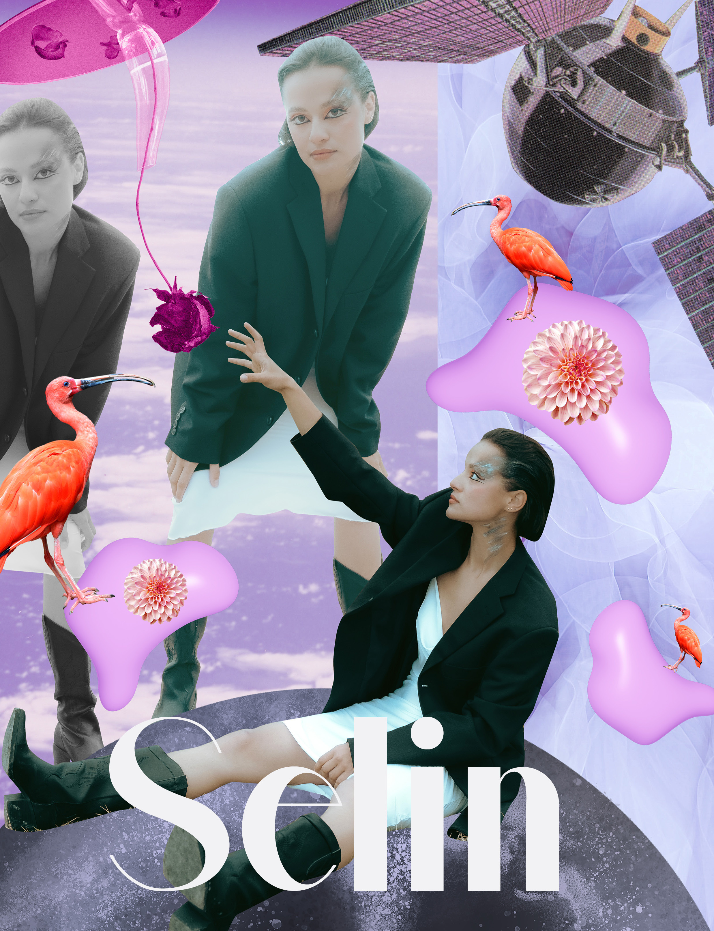 The best publications of the project Dusk in Silence