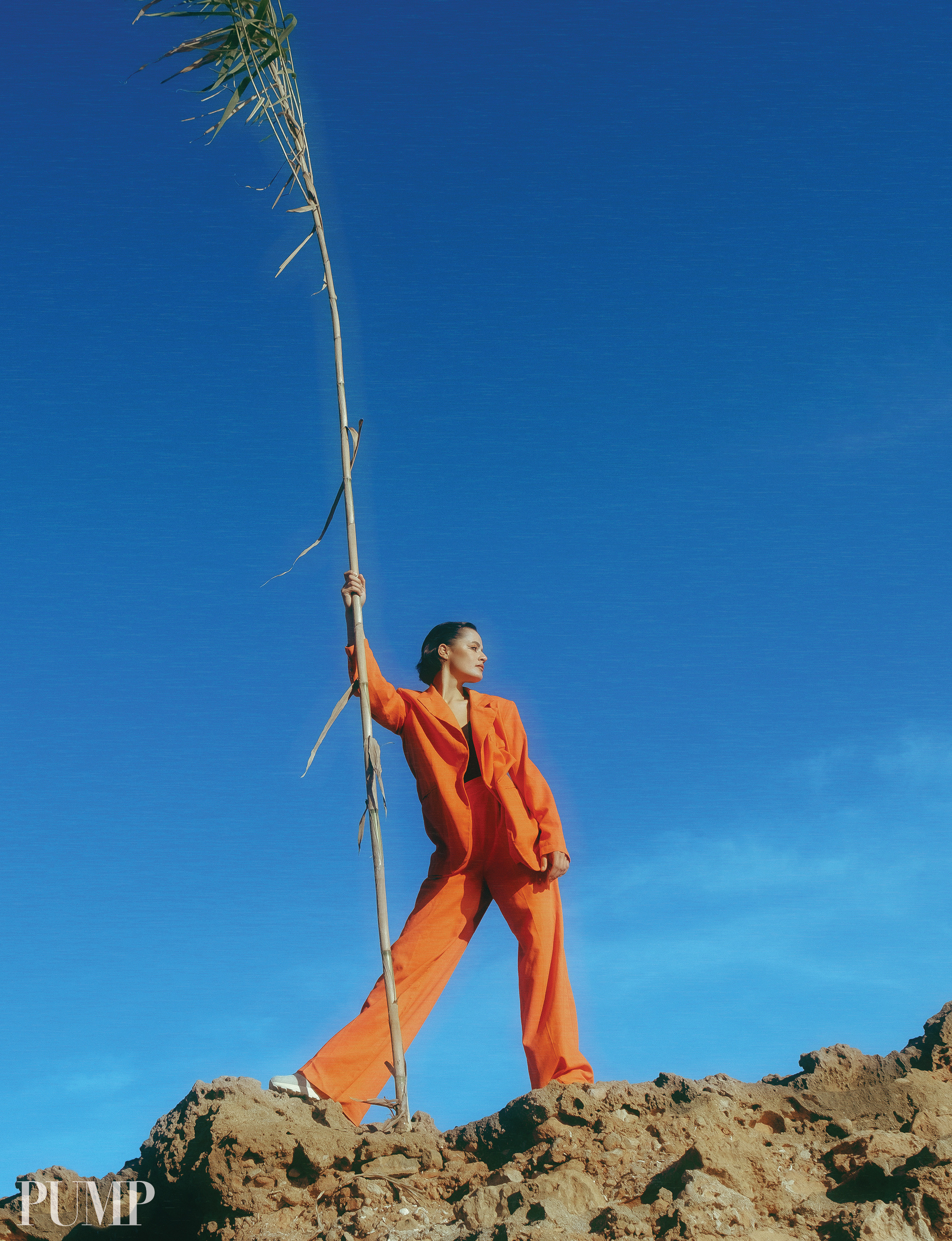 The best publications of the project Orange Orange