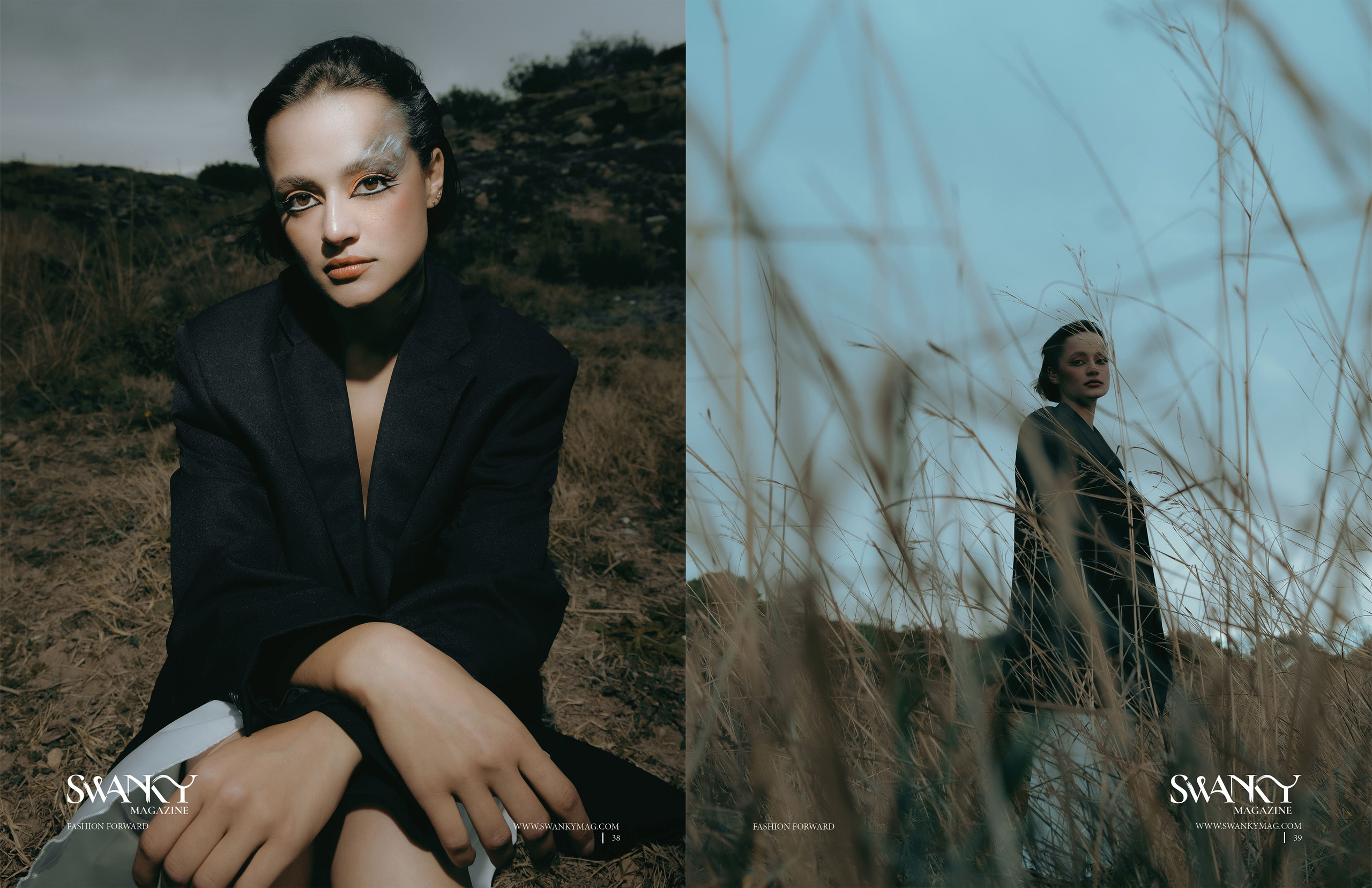 The best publications of the project Dusk in Silence