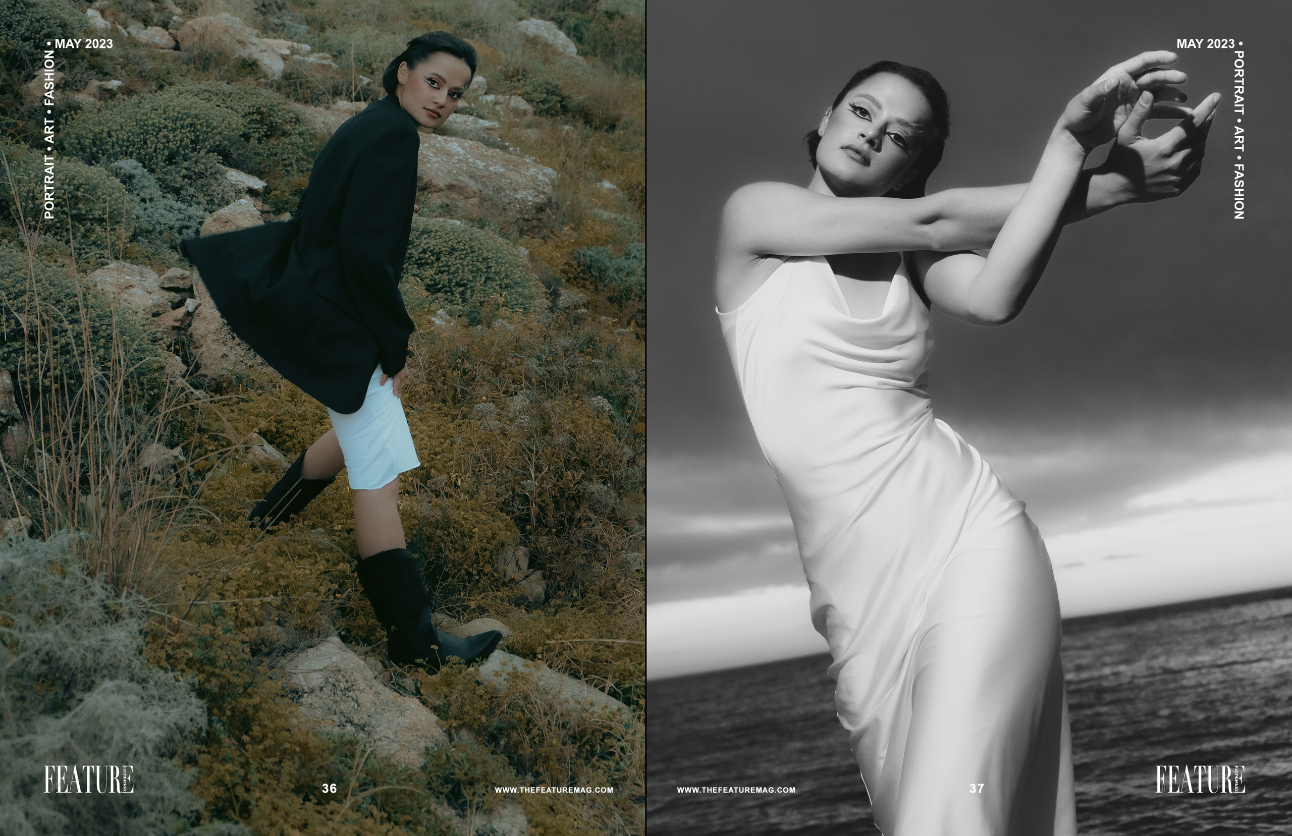 The best publications of the project Dusk in Silence