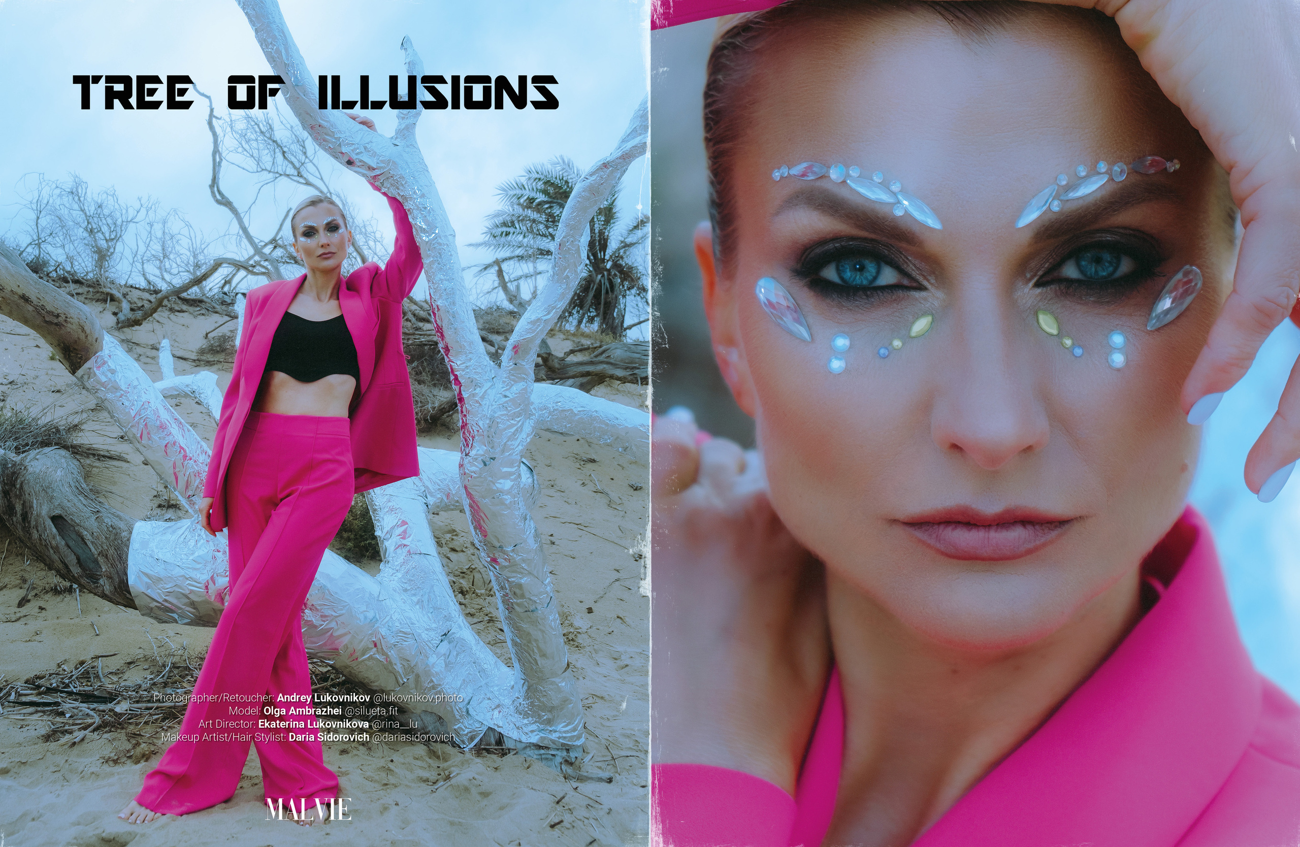 The best publications of the project Tree of Illusions
