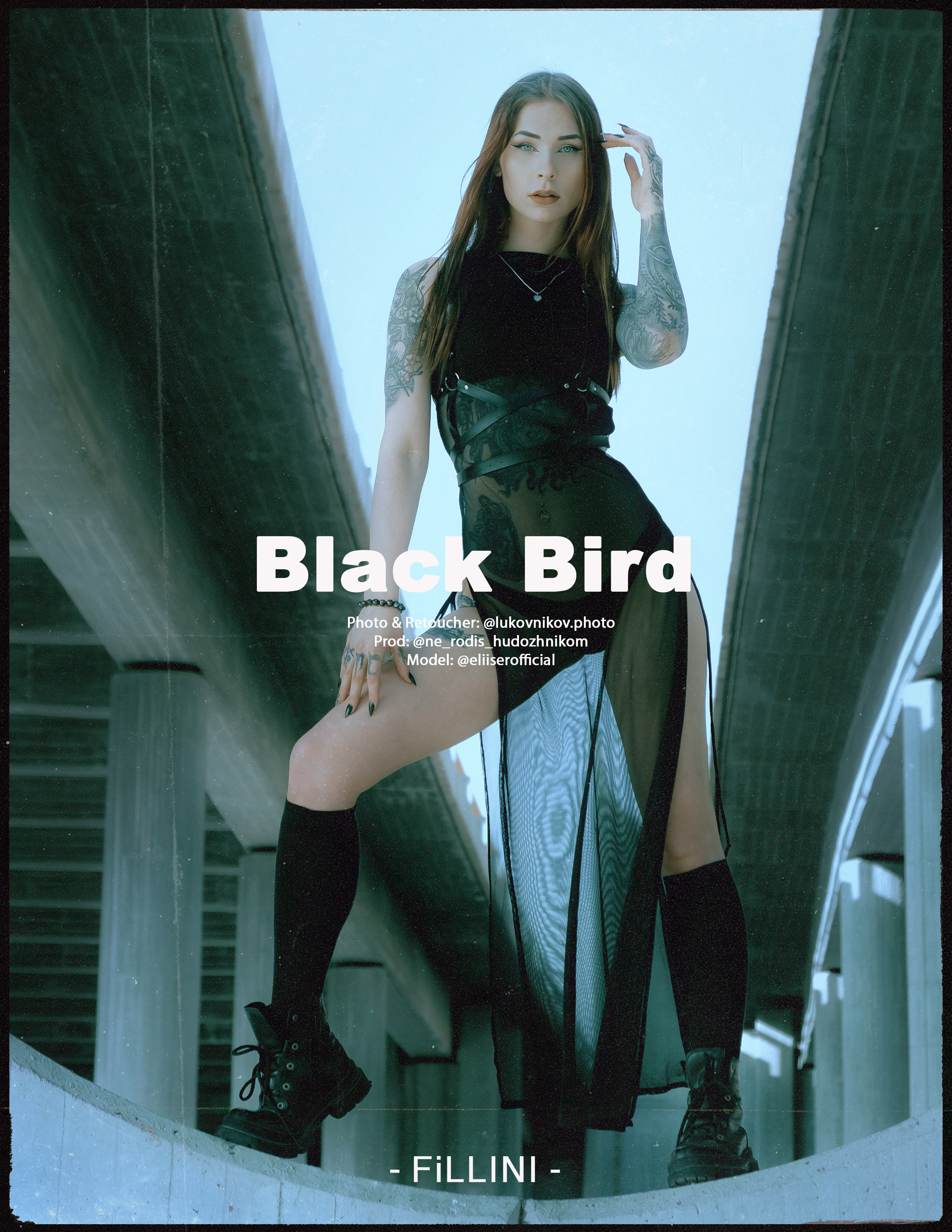 Black Bird