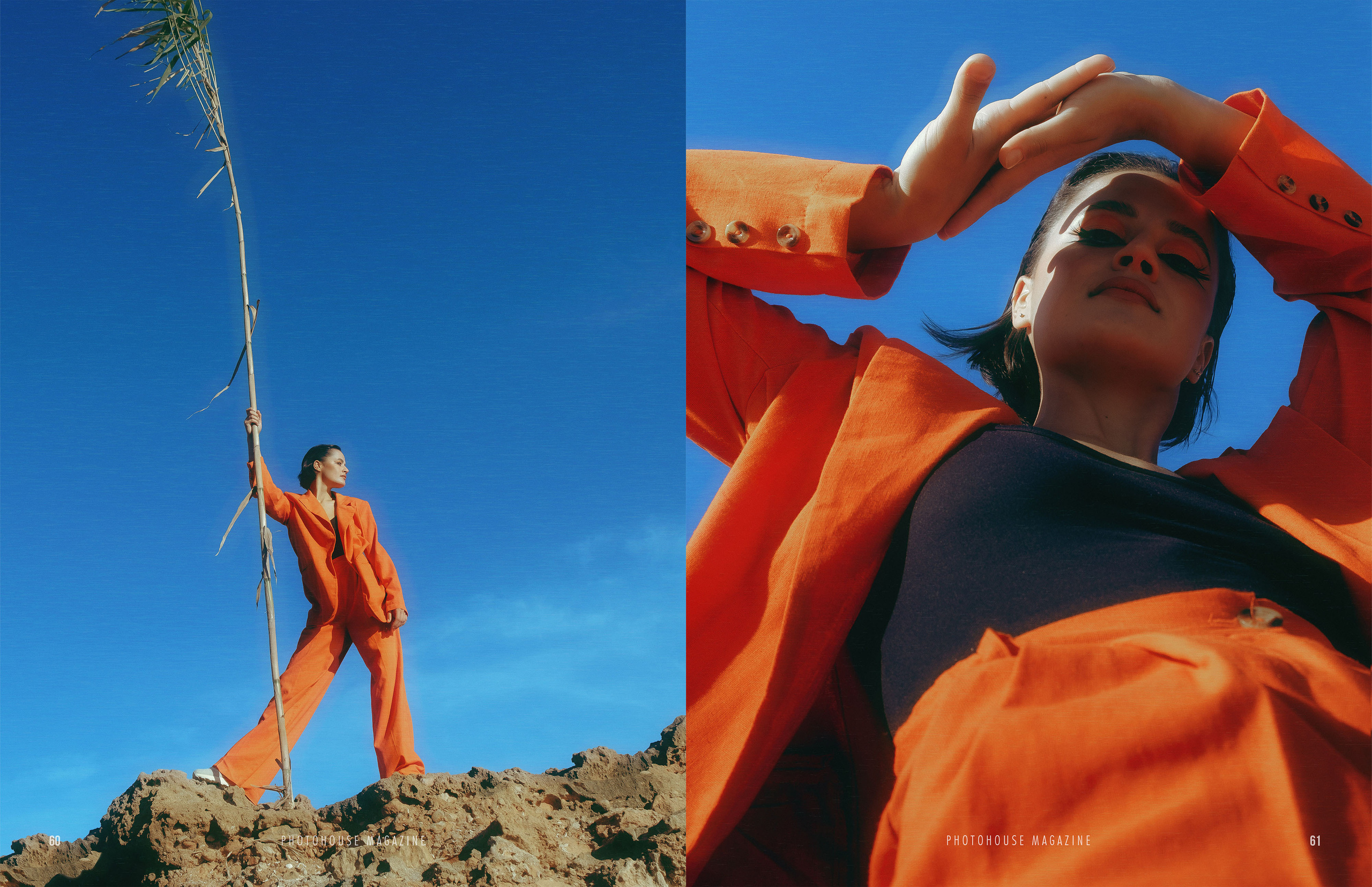 The best publications of the project Orange Orange