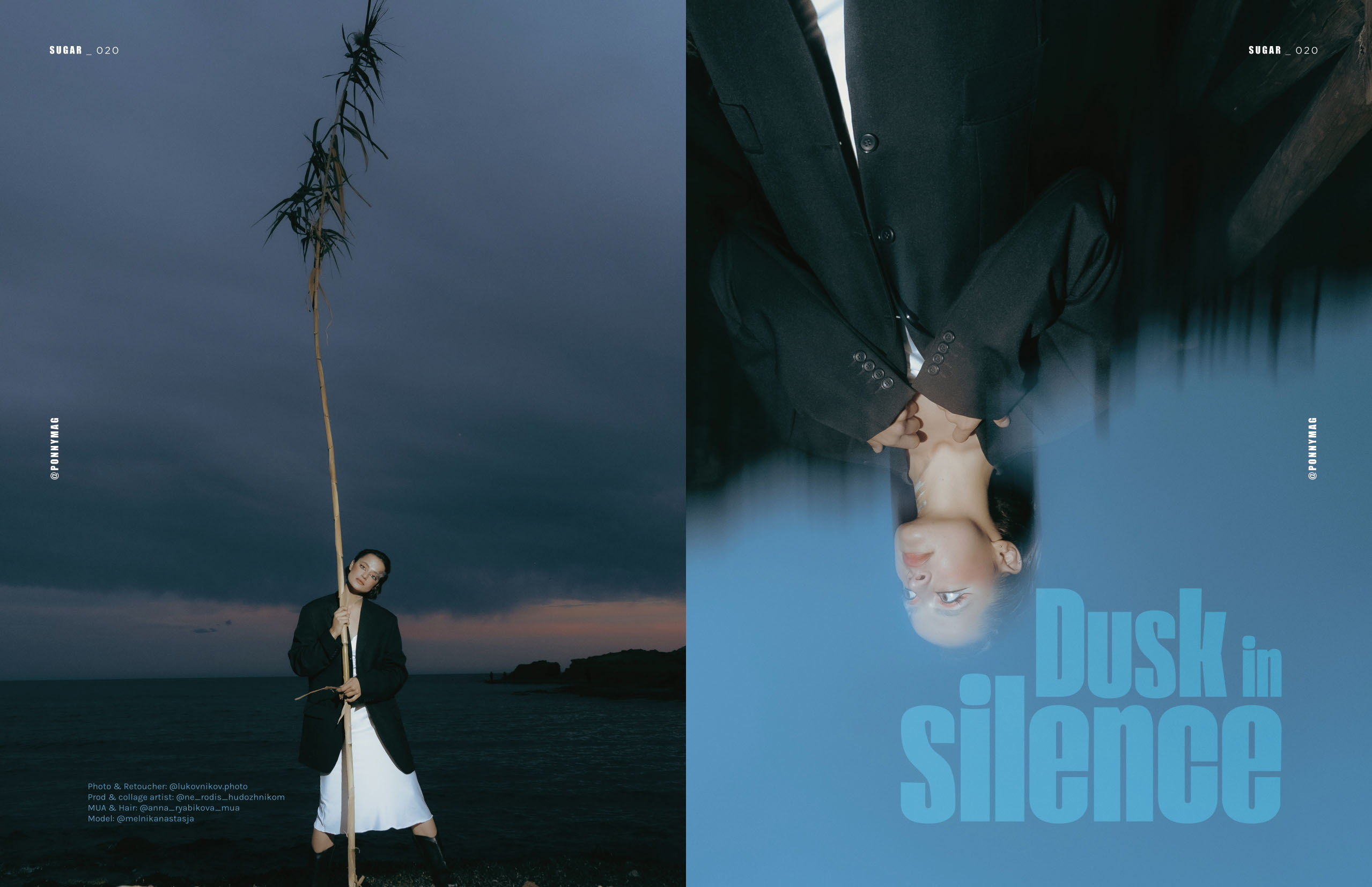 The best publications of the project Dusk in Silence