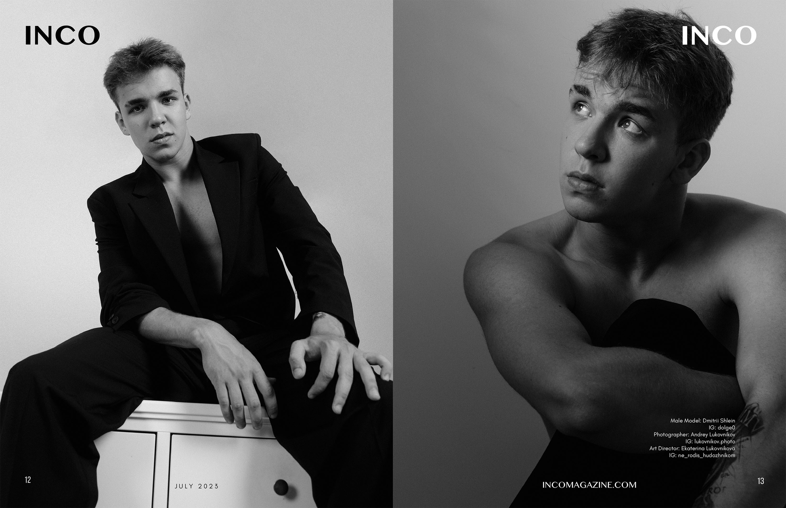 The best publications with Dmitrii Shlein