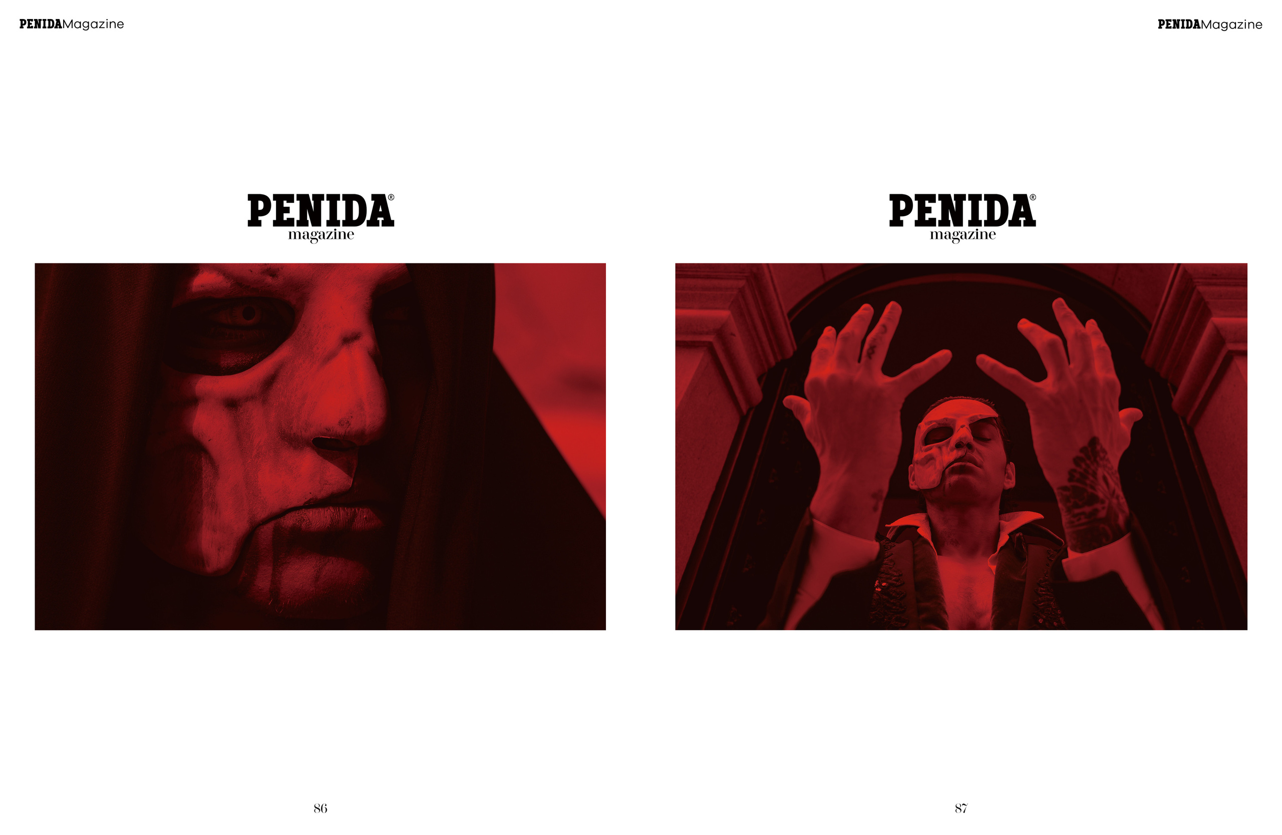 The best publications of the project The Phantom