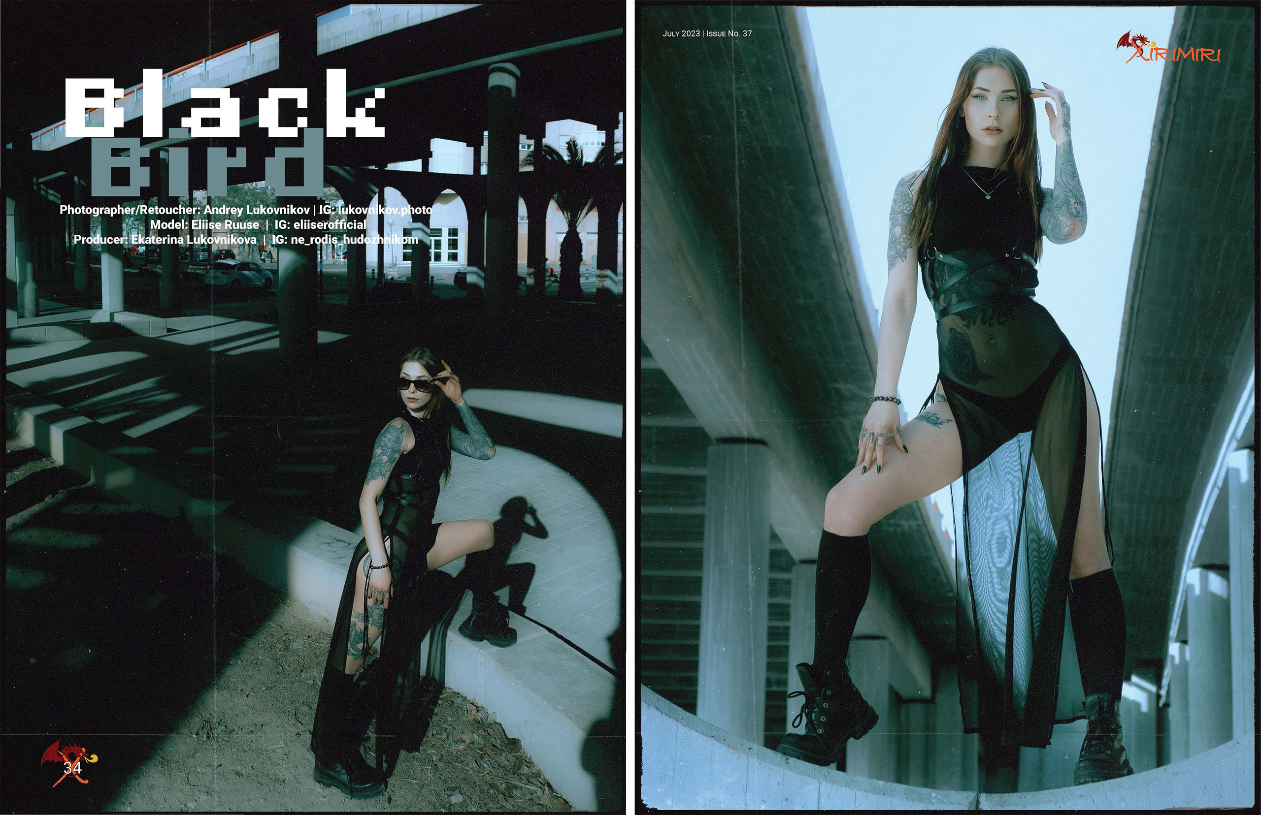 Black Bird