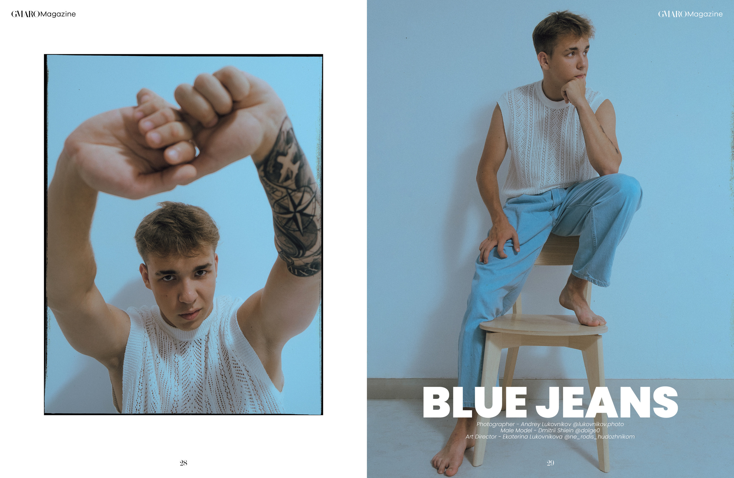 The best publications with Dmitrii Shlein