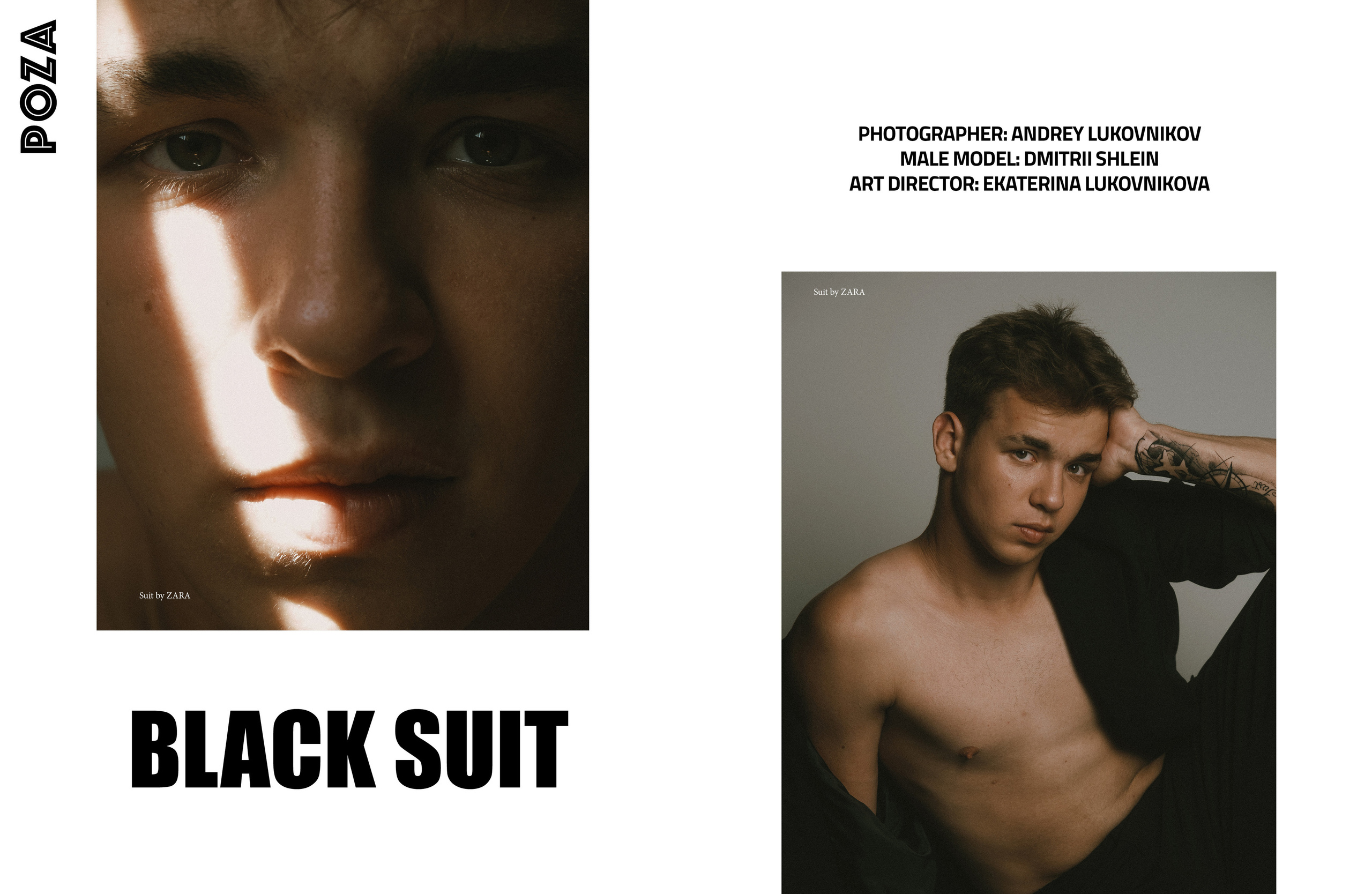 The best publications with Dmitrii Shlein