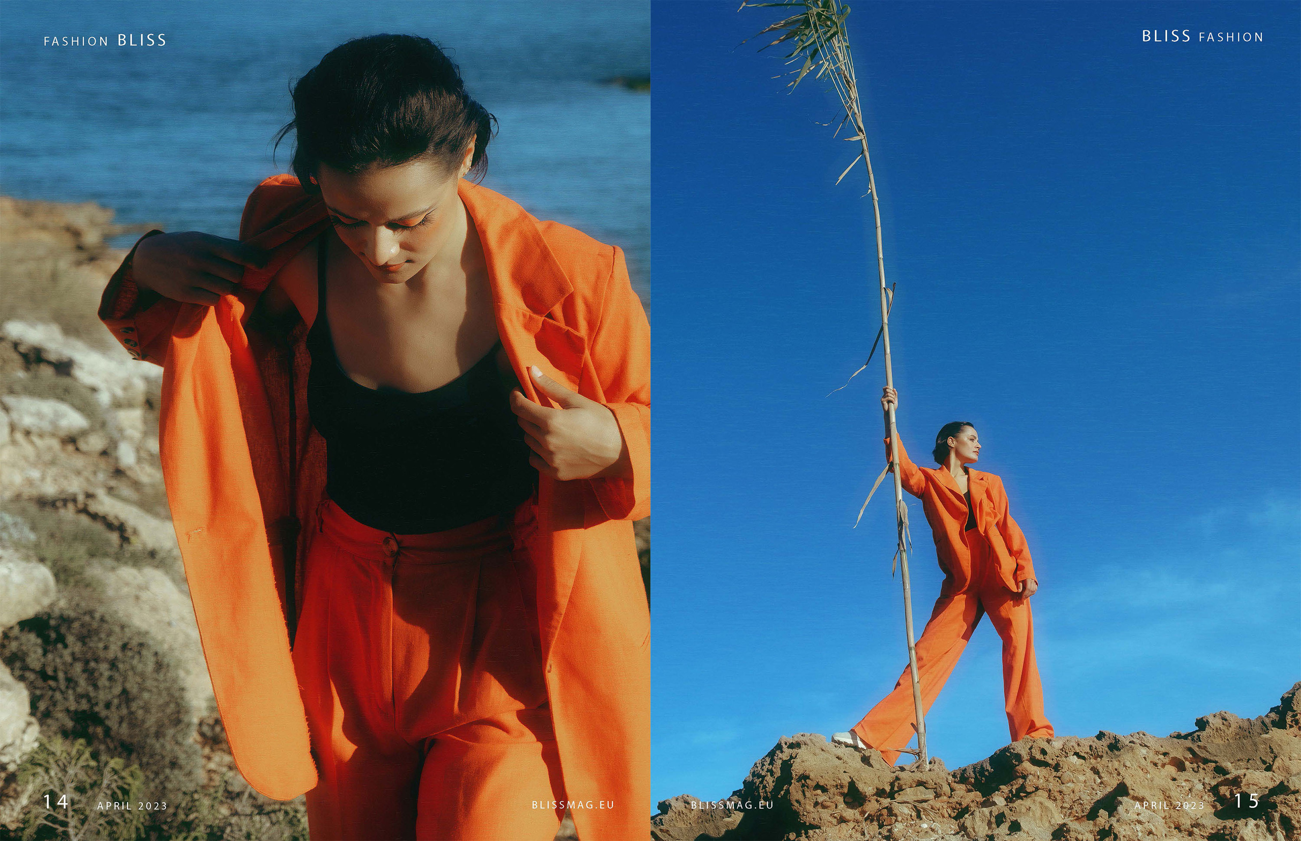 The best publications of the project Orange Orange