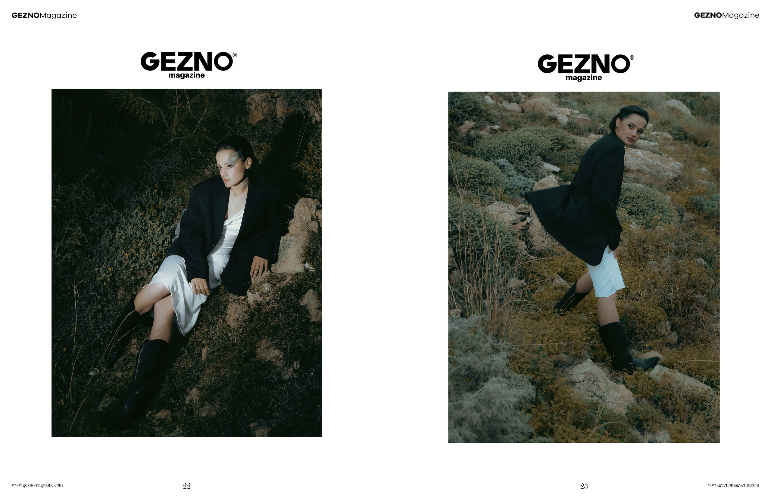 The best publications of the project Dusk in Silence