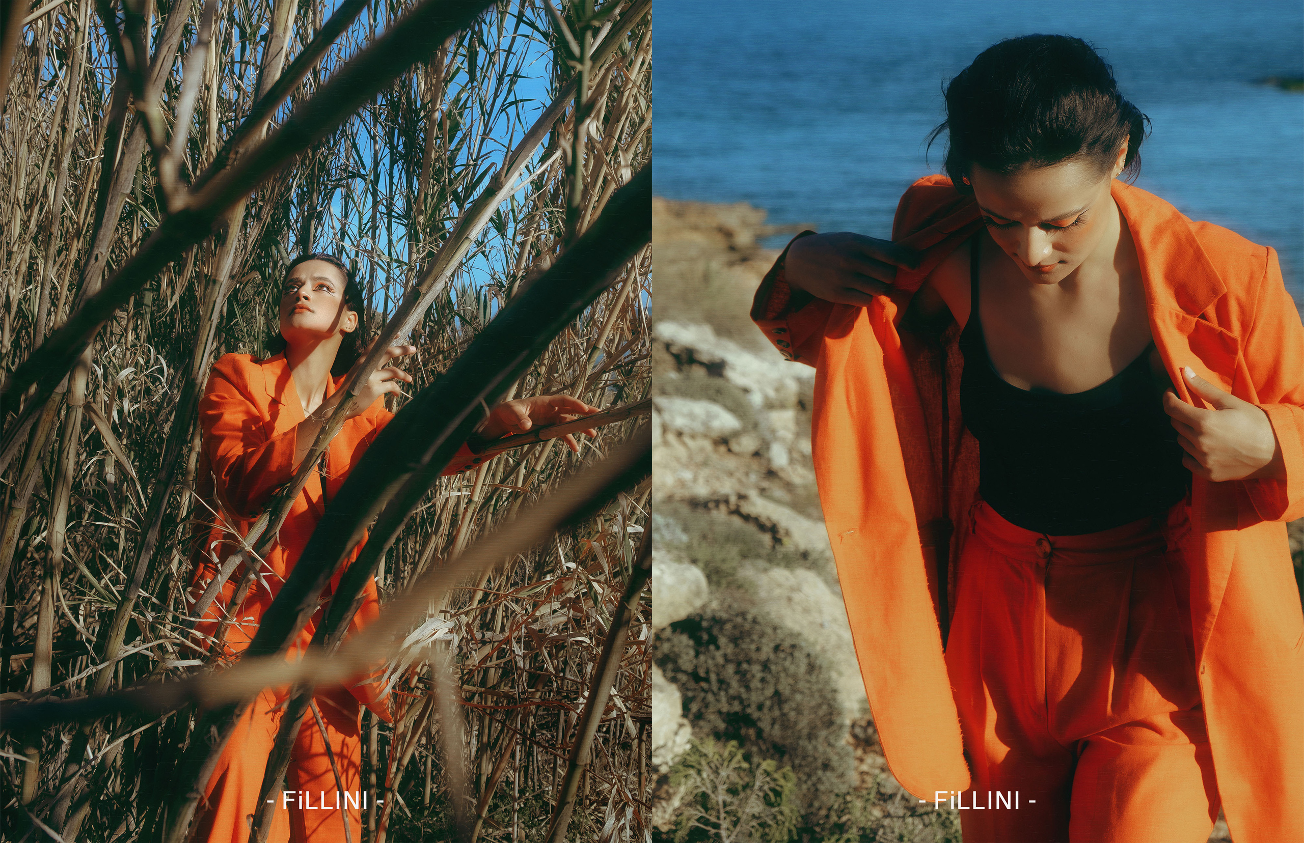 The best publications of the project Orange Orange