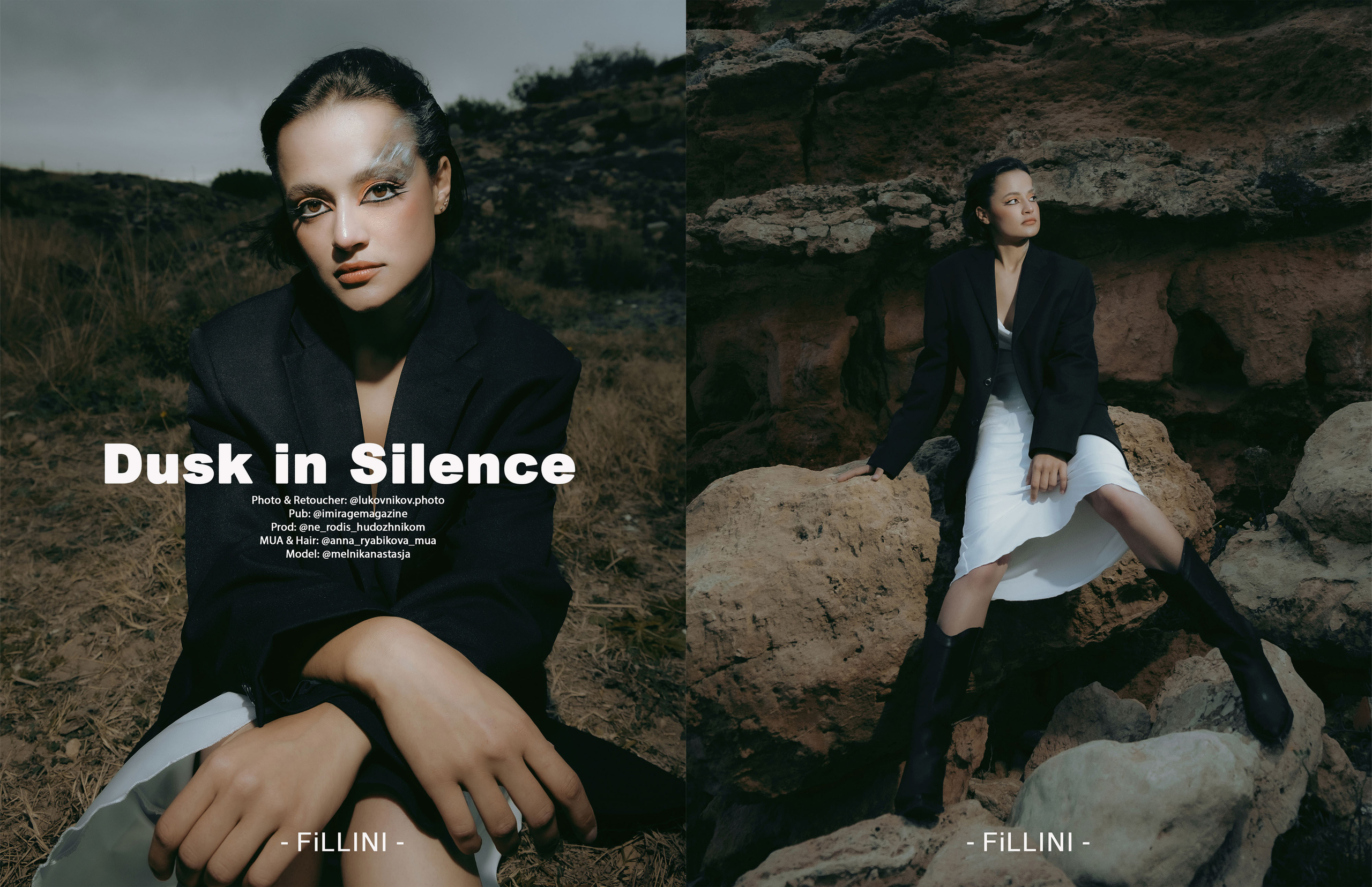 The best publications of the project Dusk in Silence