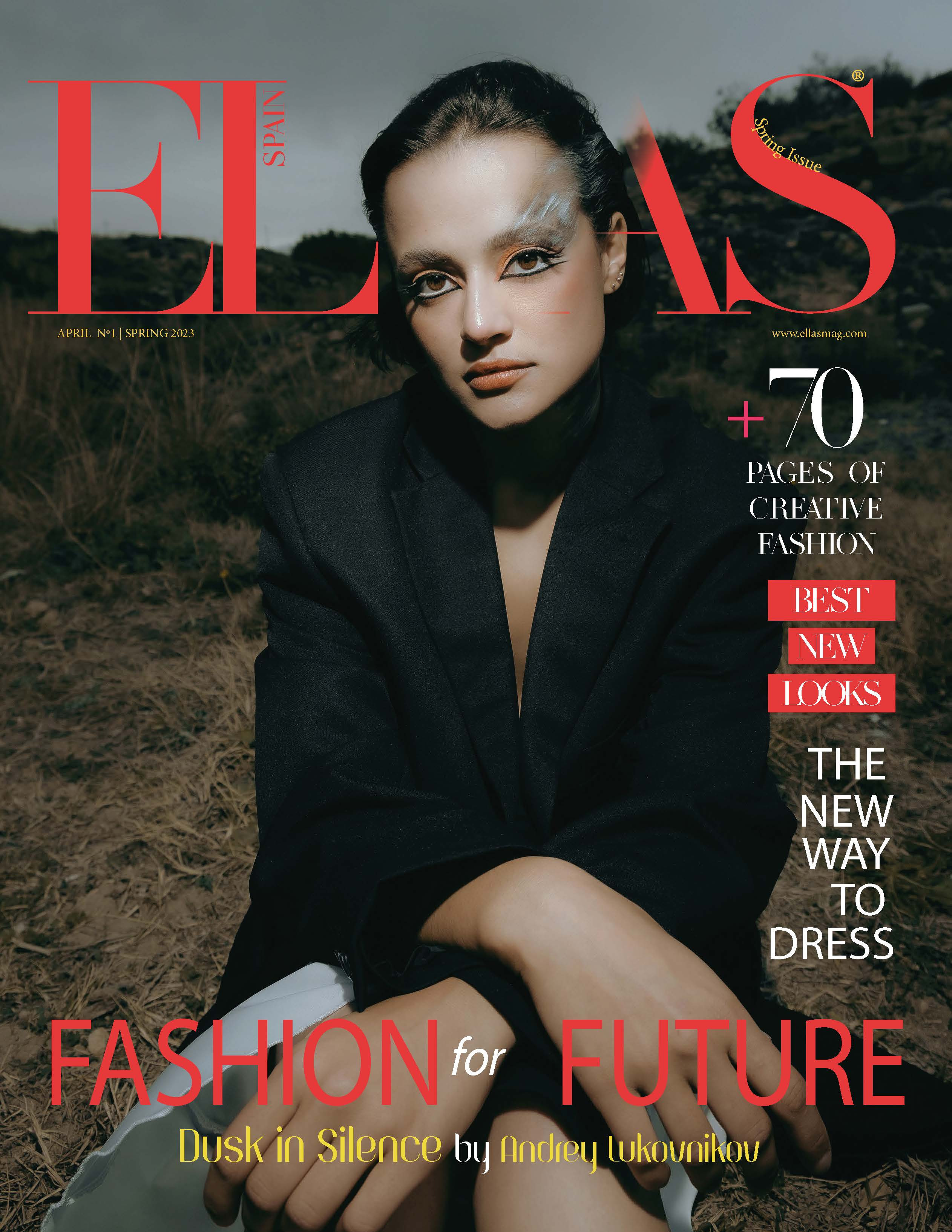 The best publications of the project Dusk in Silence