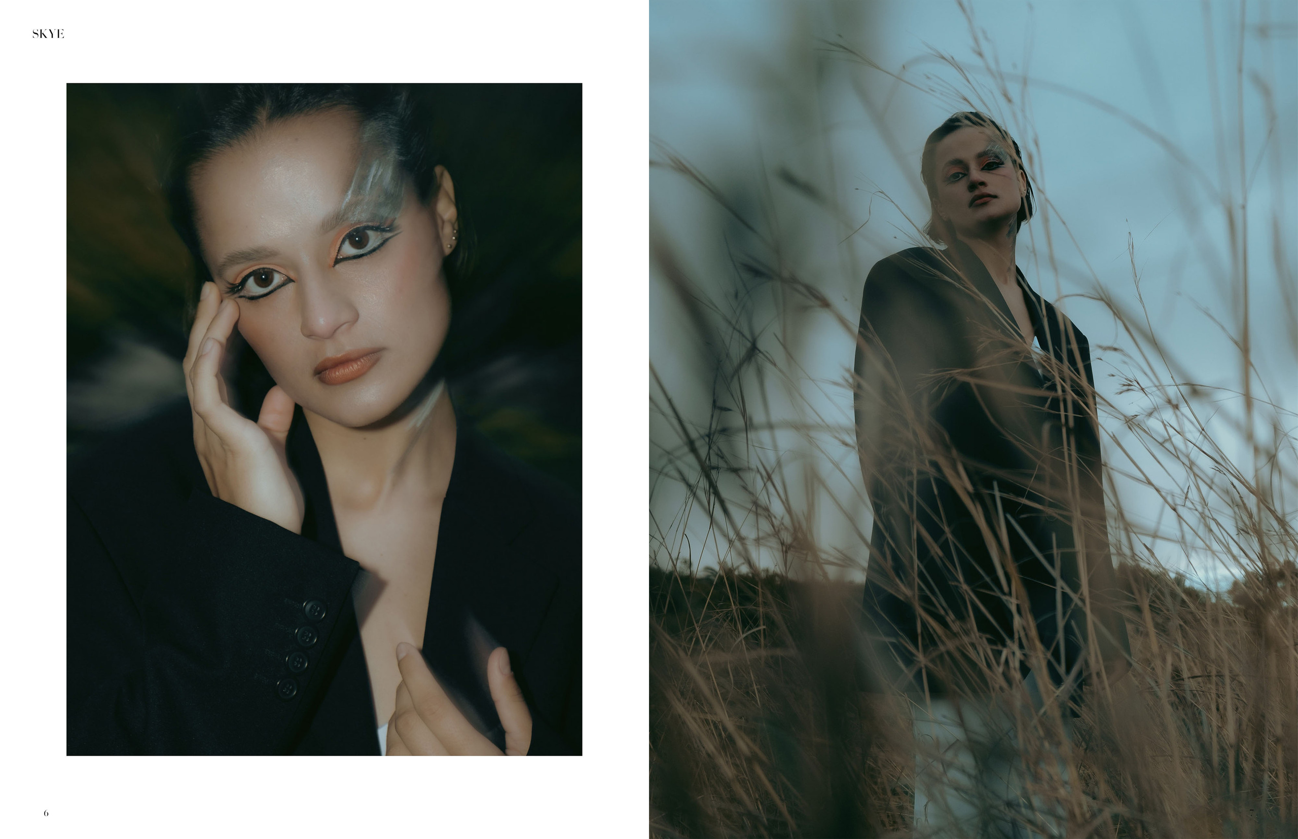 The best publications of the project Dusk in Silence