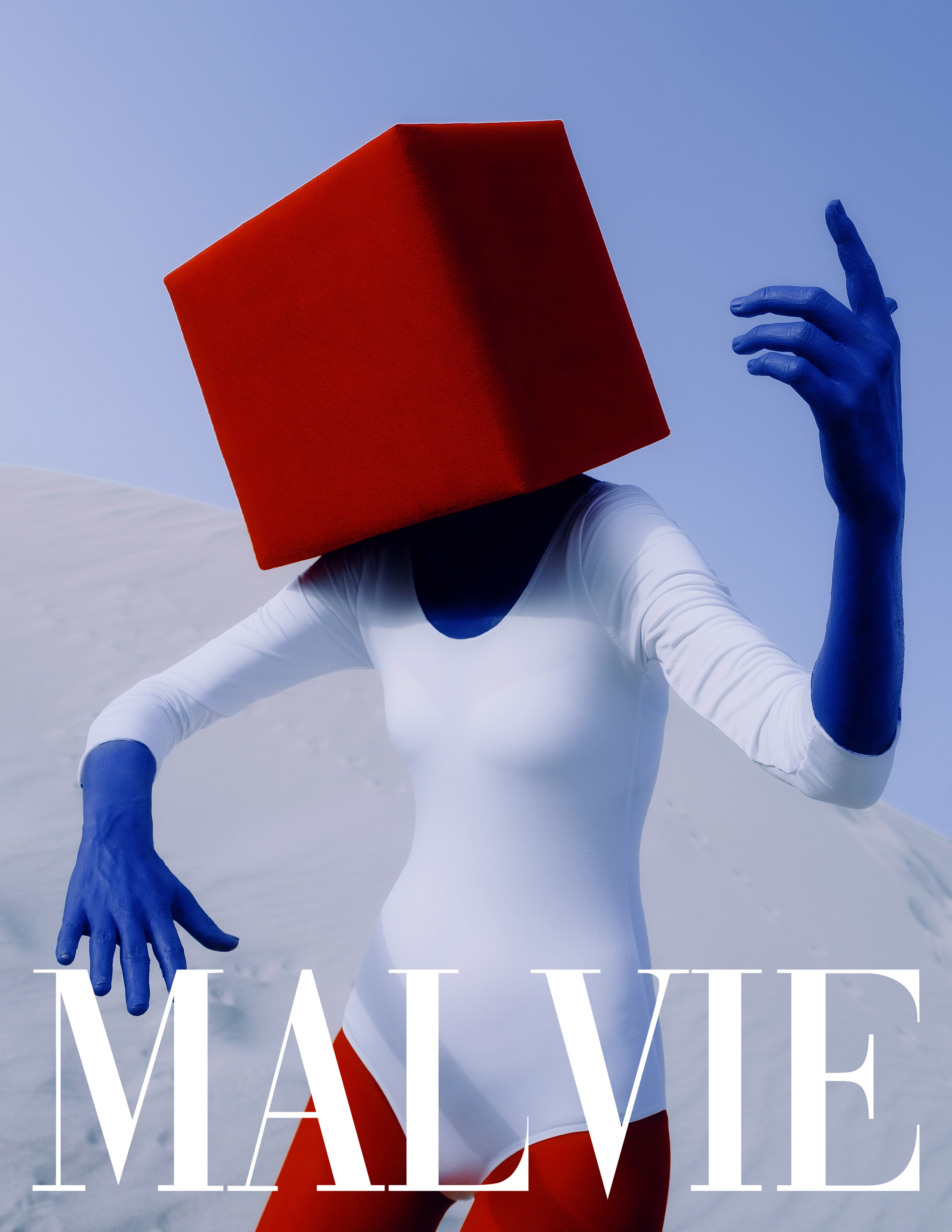 The best publications of the Project Cube