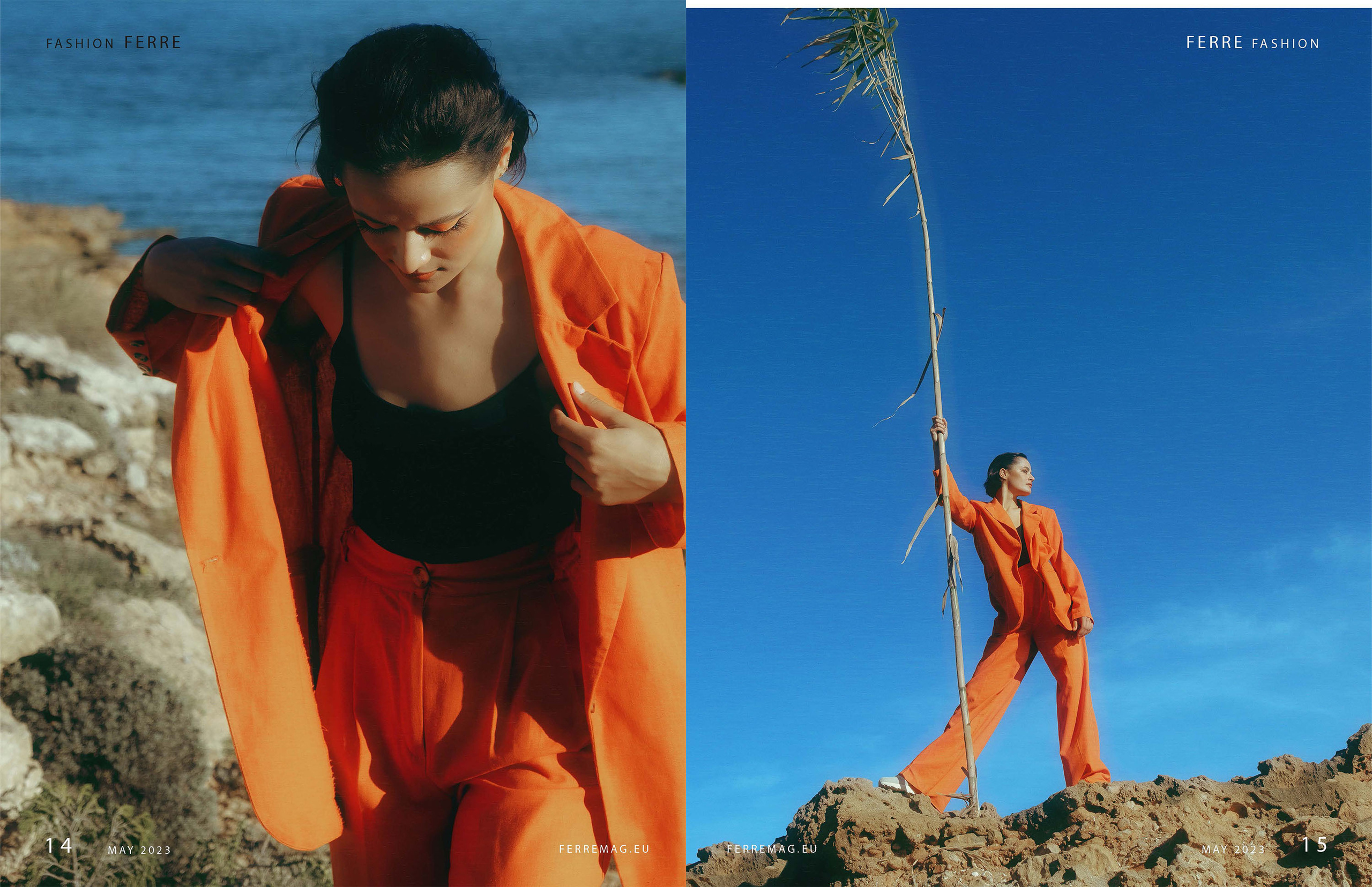 The best publications of the project Orange Orange