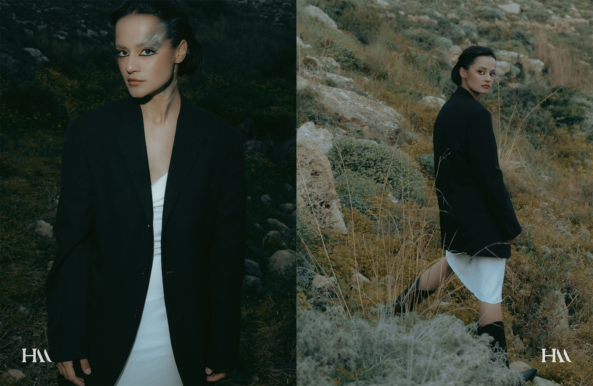 The best publications of the project Dusk in Silence