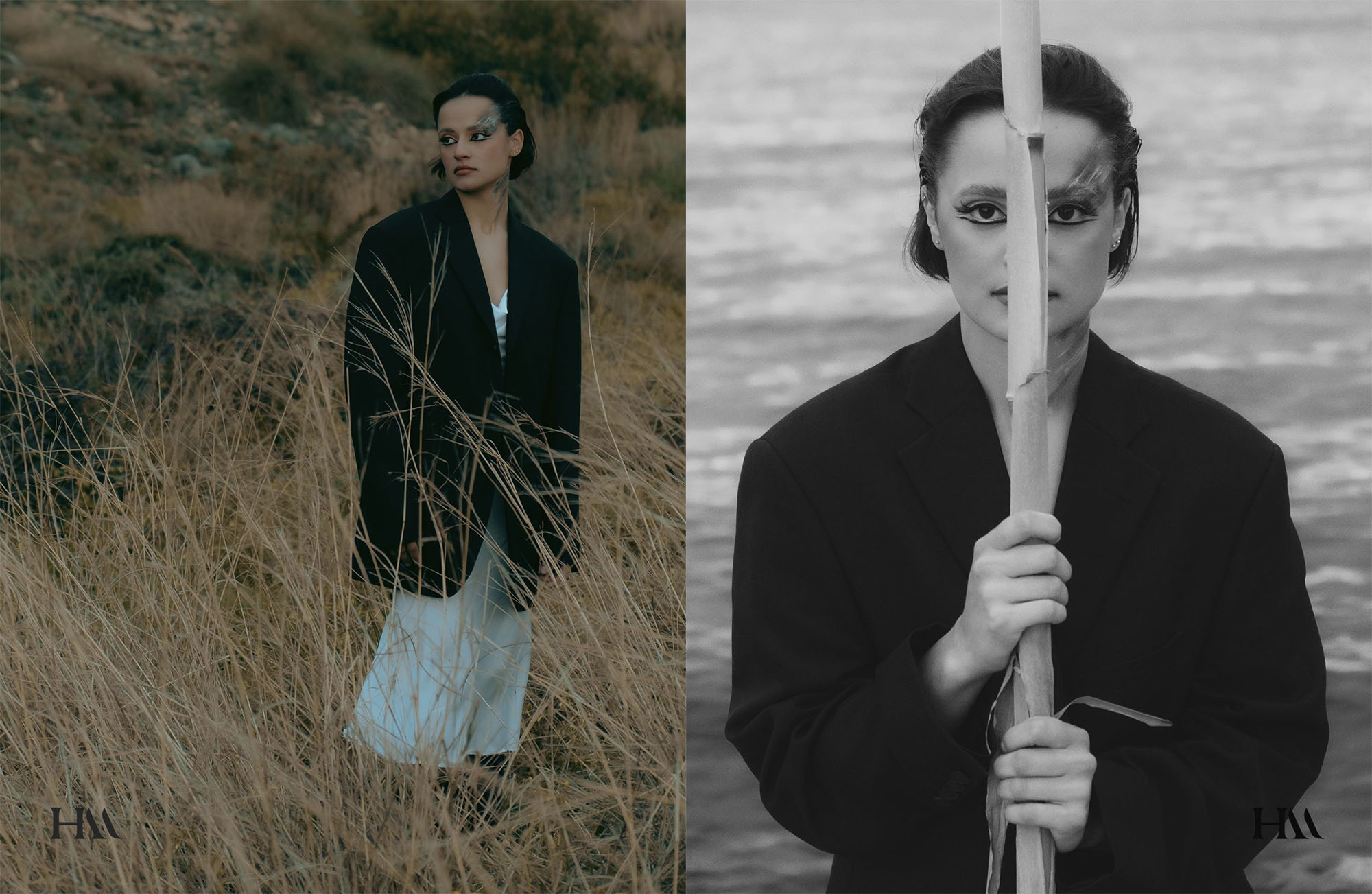 The best publications of the project Dusk in Silence