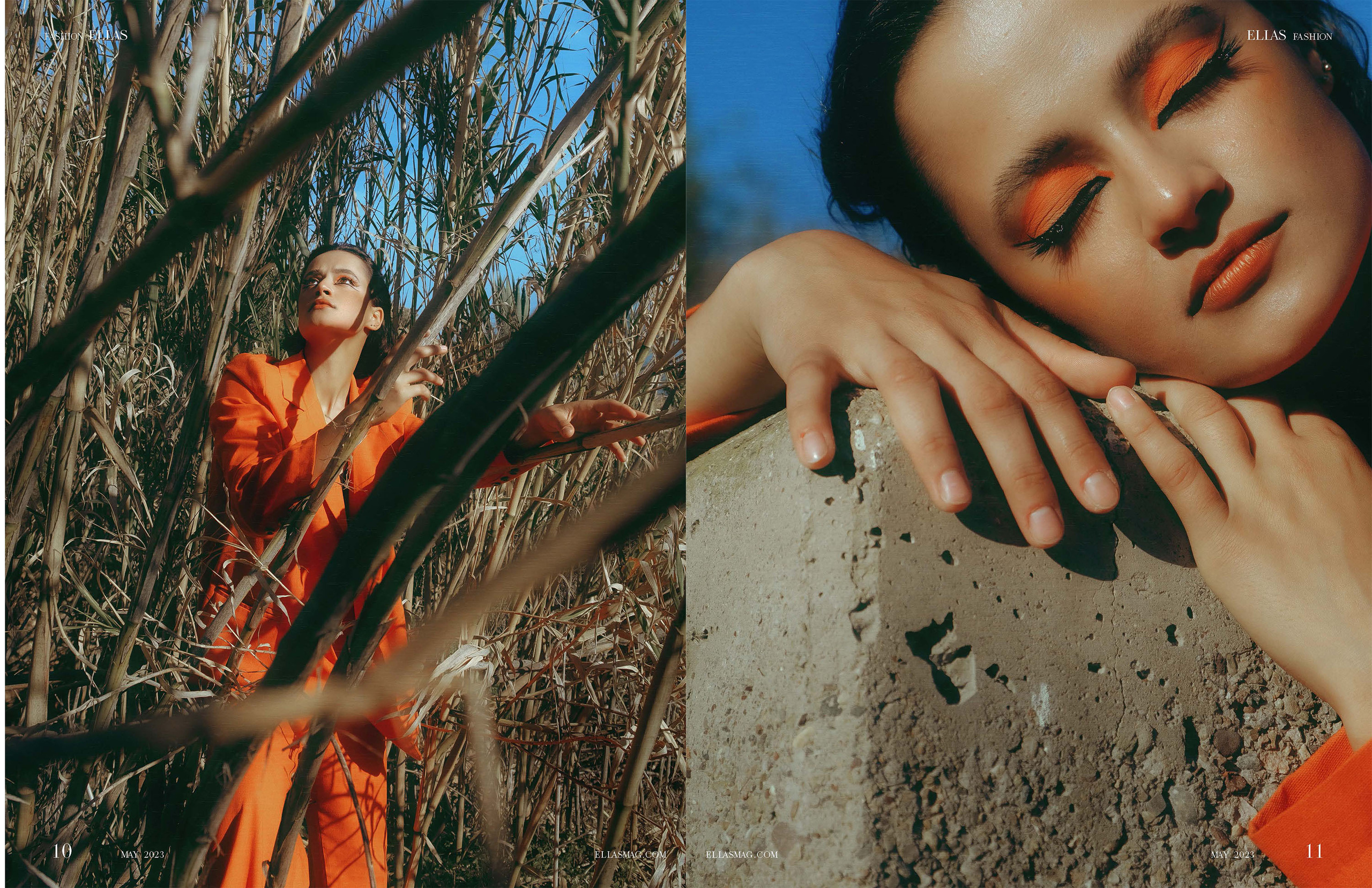 The best publications of the project Orange Orange