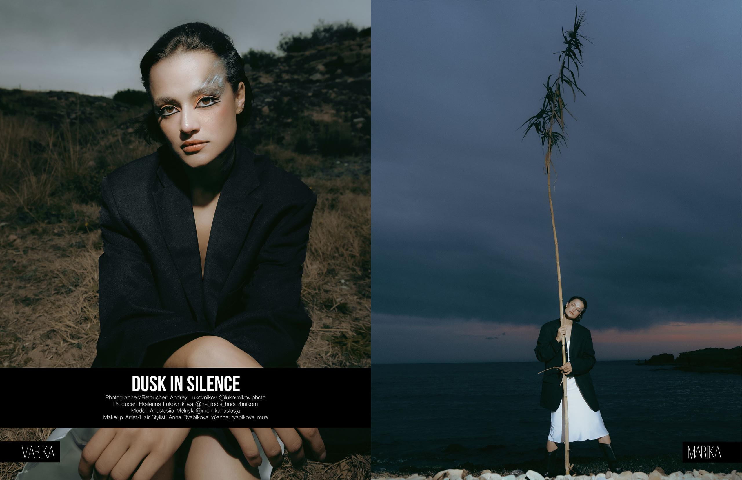 The best publications of the project Dusk in Silence